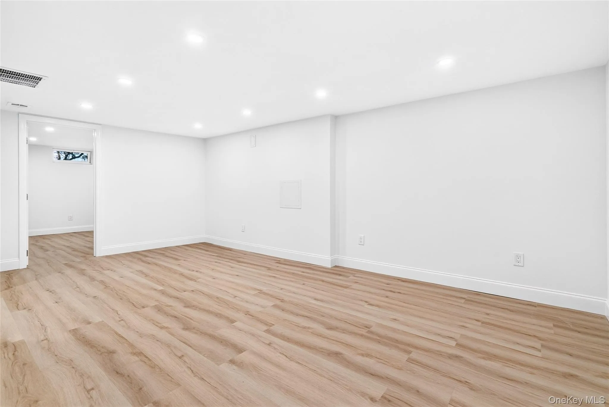 Finished Basement Flex Space/Den Finished Basement Flex Space/Den