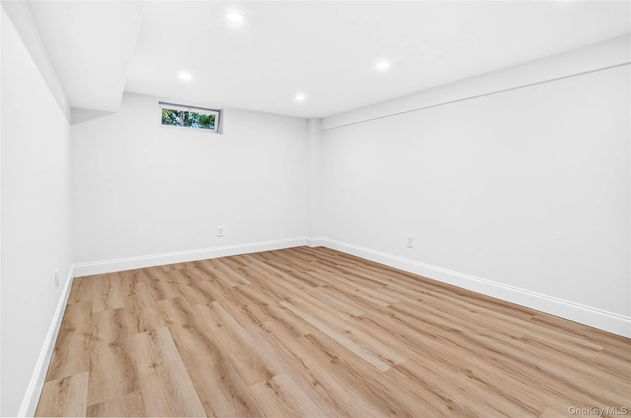 Additional Basement Flex Space Additional Basement Flex Space