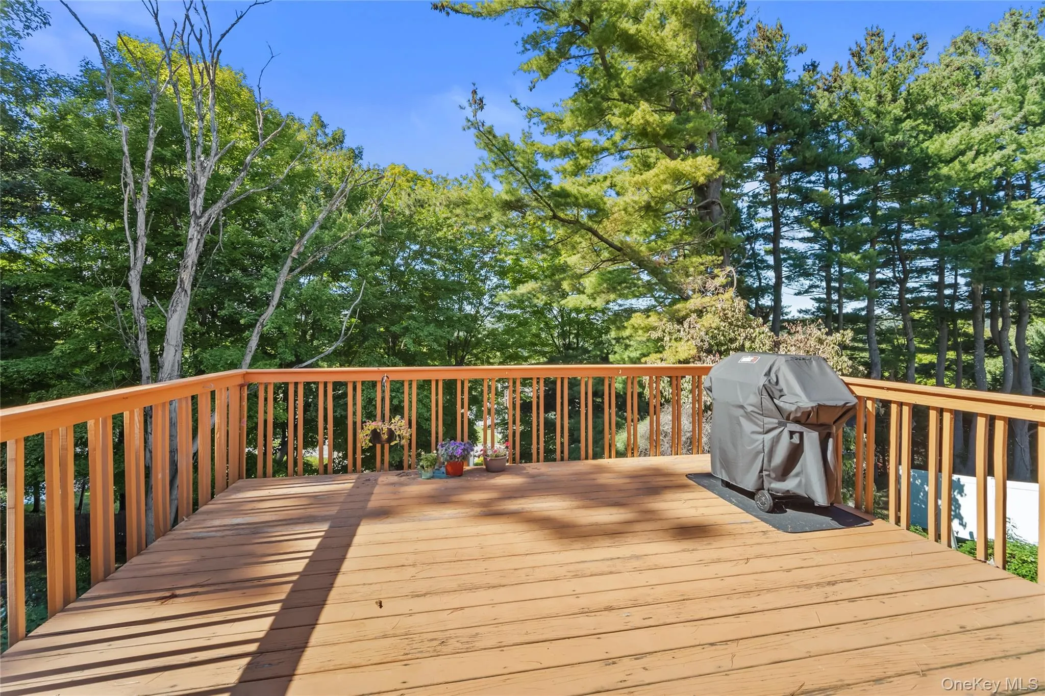 18 Buena Vista Avenue, Peekskill, NY, 3 Bedrooms Bedrooms, 5 Rooms Rooms,1 BathroomBathrooms,Residential,For Rent,Buena Vista,0,1051575 18 Buena Vista Avenue, Peekskill, NY, 3 Bedrooms Bedrooms, 5 Rooms Rooms,1 BathroomBathrooms,Residential,For Rent,Buena Vista,0,1051575