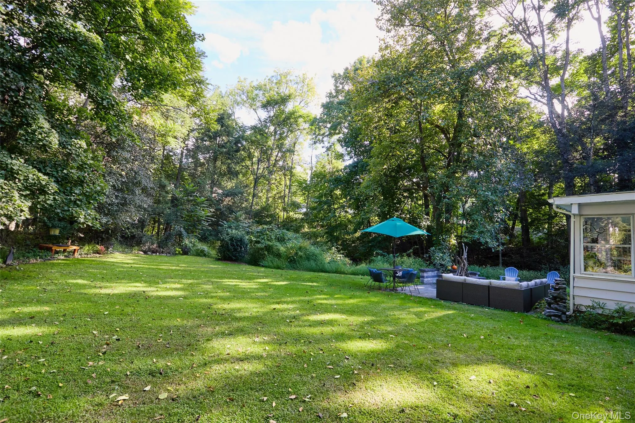 Spacious Backyard Spacious Backyard