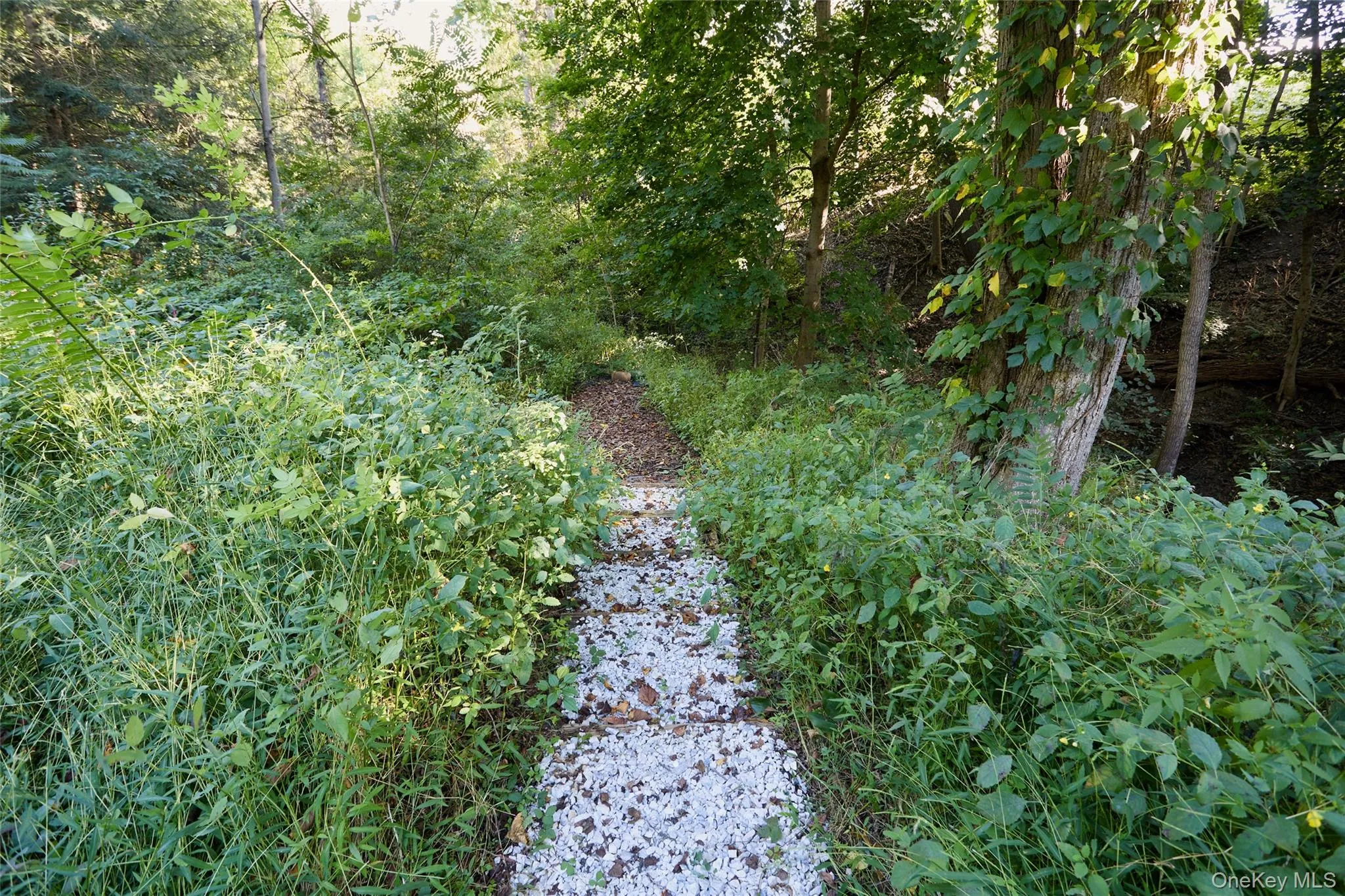 Stairs to the Brook Stairs to the Brook