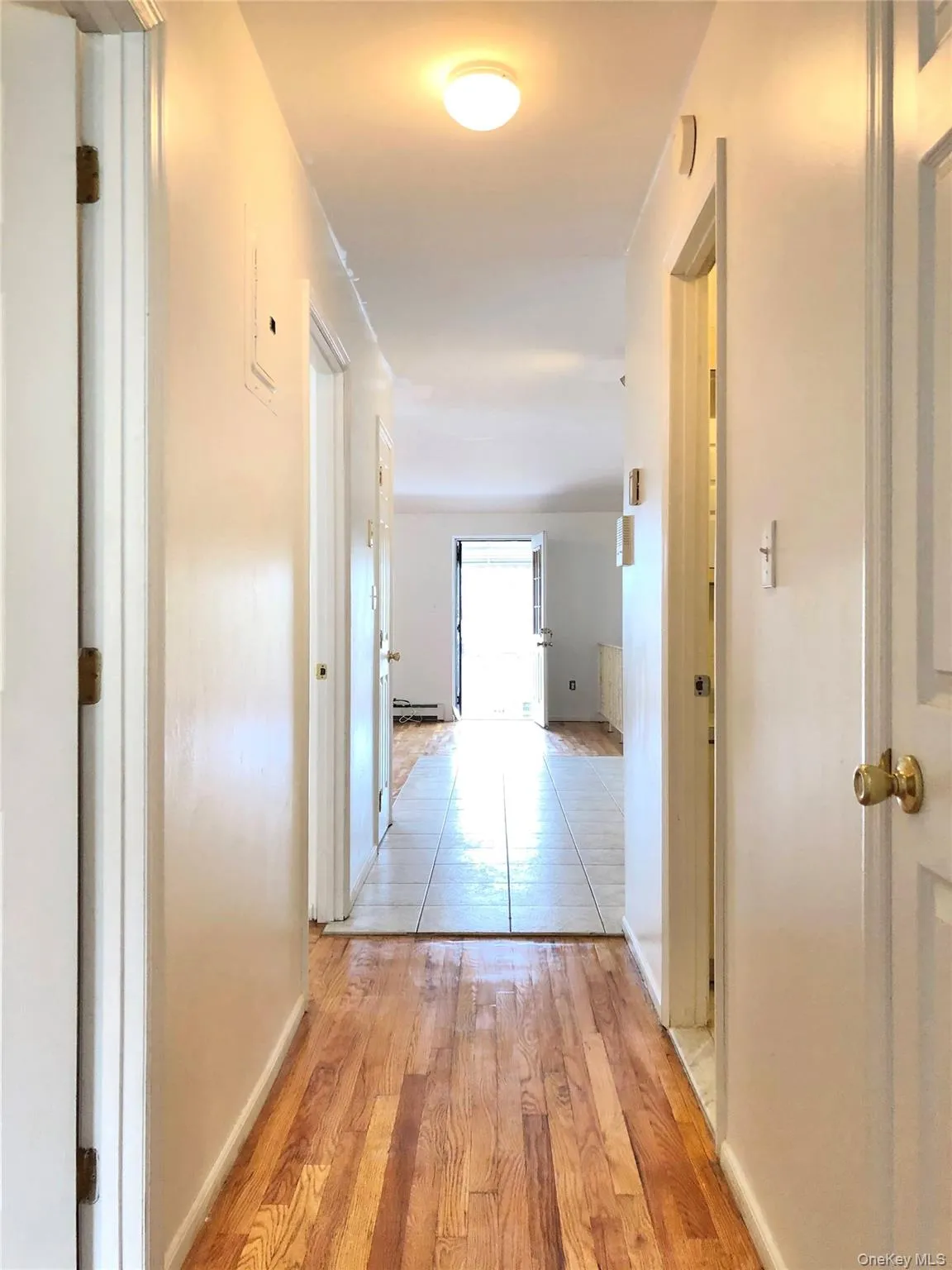 82-03 54th Avenue, New York, NY, 3 Bedrooms Bedrooms, 5 Rooms Rooms,1 BathroomBathrooms,Residential Lease,For Rent,54th,0,1051666 82-03 54th Avenue, New York, NY, 3 Bedrooms Bedrooms, 5 Rooms Rooms,1 BathroomBathrooms,Residential Lease,For Rent,54th,0,1051666