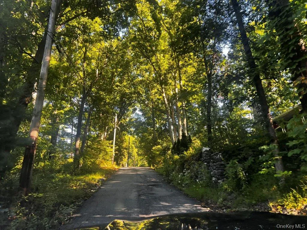 29 Hammerhead Trail, Mamakating, NY, 1 Bedroom Bedrooms, 3 Rooms Rooms,1 BathroomBathrooms,Residential,For Rent,Hammerhead,0,1051691 29 Hammerhead Trail, Mamakating, NY, 1 Bedroom Bedrooms, 3 Rooms Rooms,1 BathroomBathrooms,Residential,For Rent,Hammerhead,0,1051691