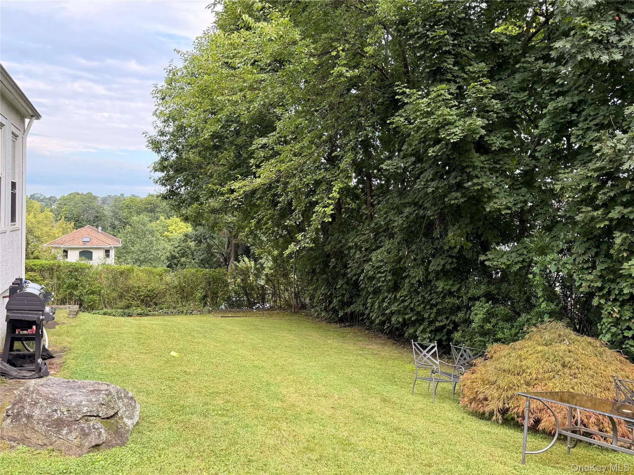 Spacious backyard Spacious backyard