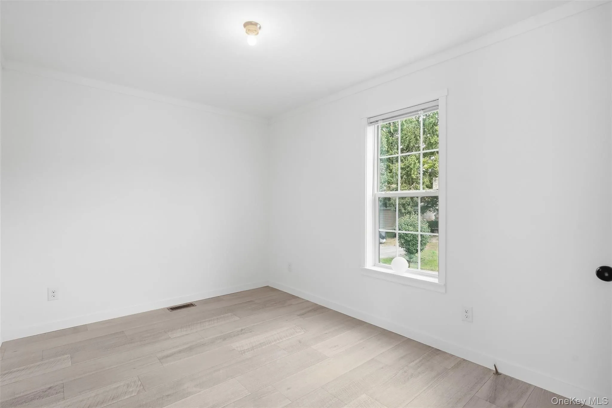 155 Metzger, Red Hook, NY, 2 Bedrooms Bedrooms, 6 Rooms Rooms,1 BathroomBathrooms,Residential,For Rent,Metzger,0,1051739 155 Metzger, Red Hook, NY, 2 Bedrooms Bedrooms, 6 Rooms Rooms,1 BathroomBathrooms,Residential,For Rent,Metzger,0,1051739