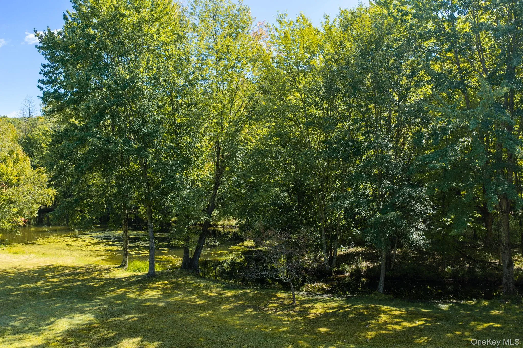 208 White Bridge Road, Middletown, NY, 3 Bedrooms Bedrooms, 8 Rooms Rooms,1 BathroomBathrooms,Residential Lease,For Rent,White Bridge,0,1051782 208 White Bridge Road, Middletown, NY, 3 Bedrooms Bedrooms, 8 Rooms Rooms,1 BathroomBathrooms,Residential Lease,For Rent,White Bridge,0,1051782