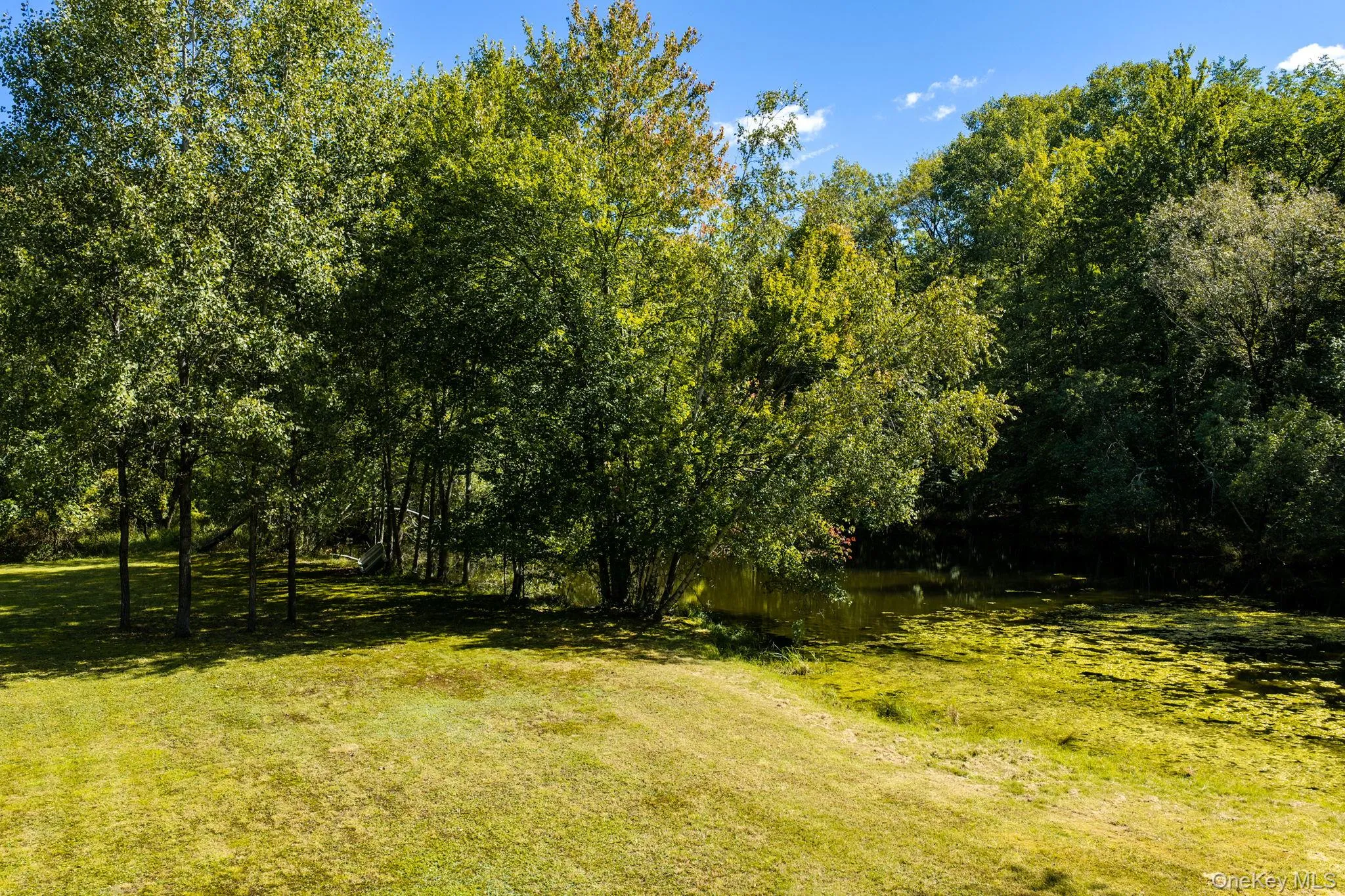 208 White Bridge Road, Middletown, NY, 3 Bedrooms Bedrooms, 8 Rooms Rooms,1 BathroomBathrooms,Residential Lease,For Rent,White Bridge,0,1051782 208 White Bridge Road, Middletown, NY, 3 Bedrooms Bedrooms, 8 Rooms Rooms,1 BathroomBathrooms,Residential Lease,For Rent,White Bridge,0,1051782