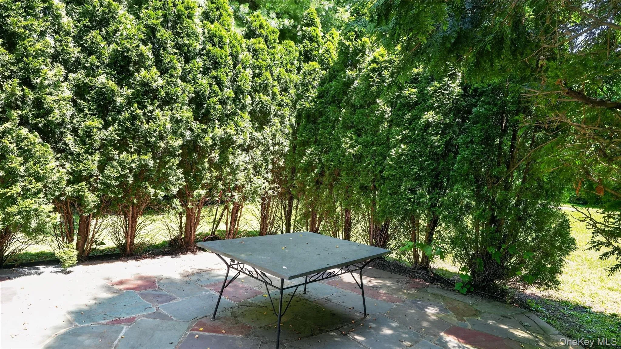1058 Plandome Road, North Hempstead, NY, 2 Bedroom Bedrooms, 5 Room Rooms,2 BathroomBathrooms,Residential Lease,For Rent,Plandome,0,1051790 1058 Plandome Road, North Hempstead, NY, 2 Bedroom Bedrooms, 5 Room Rooms,2 BathroomBathrooms,Residential Lease,For Rent,Plandome,0,1051790