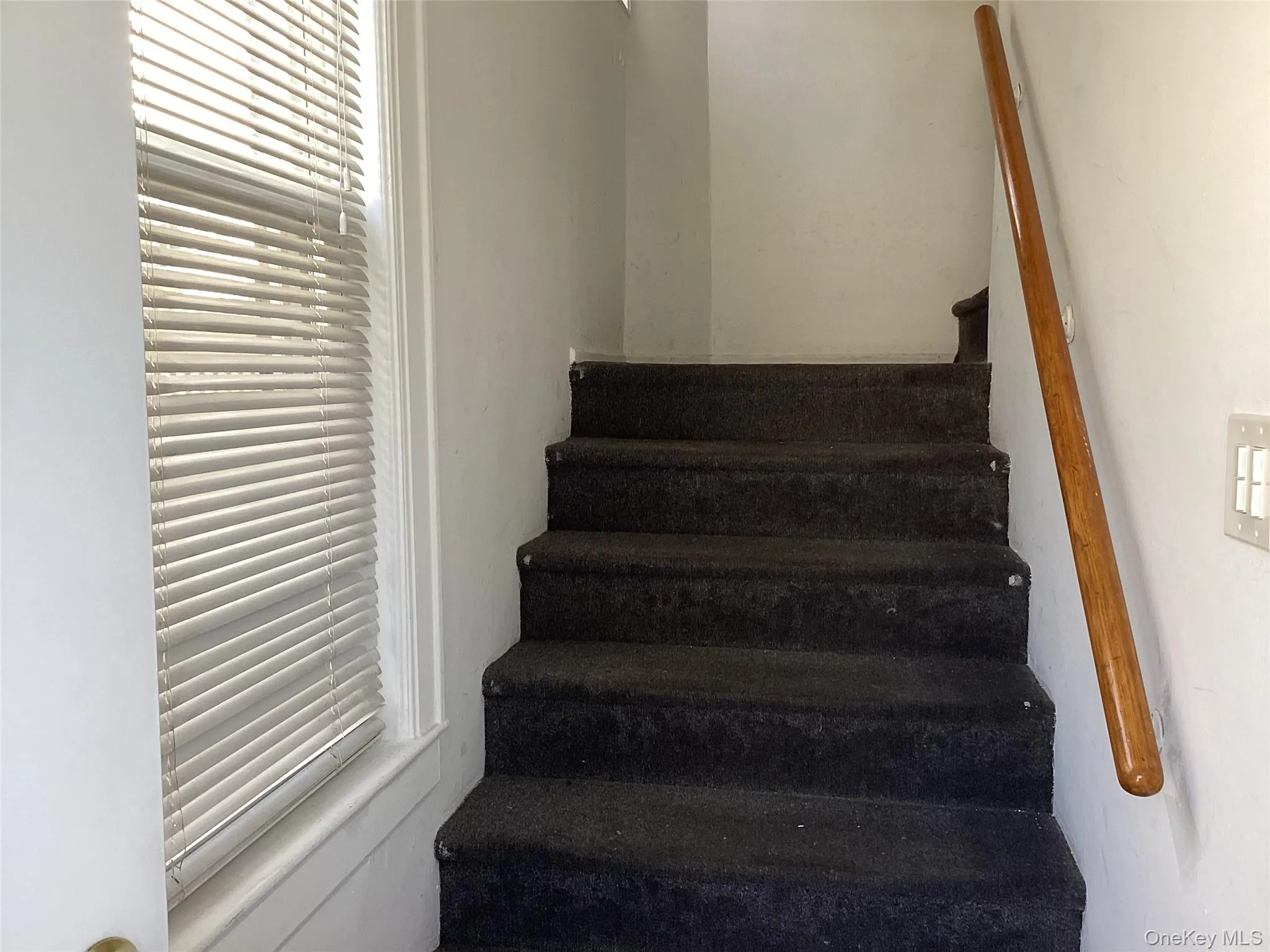 6125 185th Street, New York, NY, 2 Bedroom Bedrooms, 5 Room Rooms,1 BathroomBathrooms,Residential Lease,For Rent,185th,0,1051796 6125 185th Street, New York, NY, 2 Bedroom Bedrooms, 5 Room Rooms,1 BathroomBathrooms,Residential Lease,For Rent,185th,0,1051796