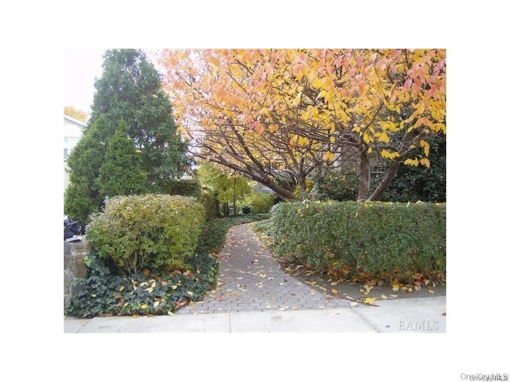 151 Centre, New Rochelle, NY, 1 Bedroom Bedrooms, 3 Rooms Rooms,1 BathroomBathrooms,Residential,For Rent,Centre,0,1051803 151 Centre, New Rochelle, NY, 1 Bedroom Bedrooms, 3 Rooms Rooms,1 BathroomBathrooms,Residential,For Rent,Centre,0,1051803