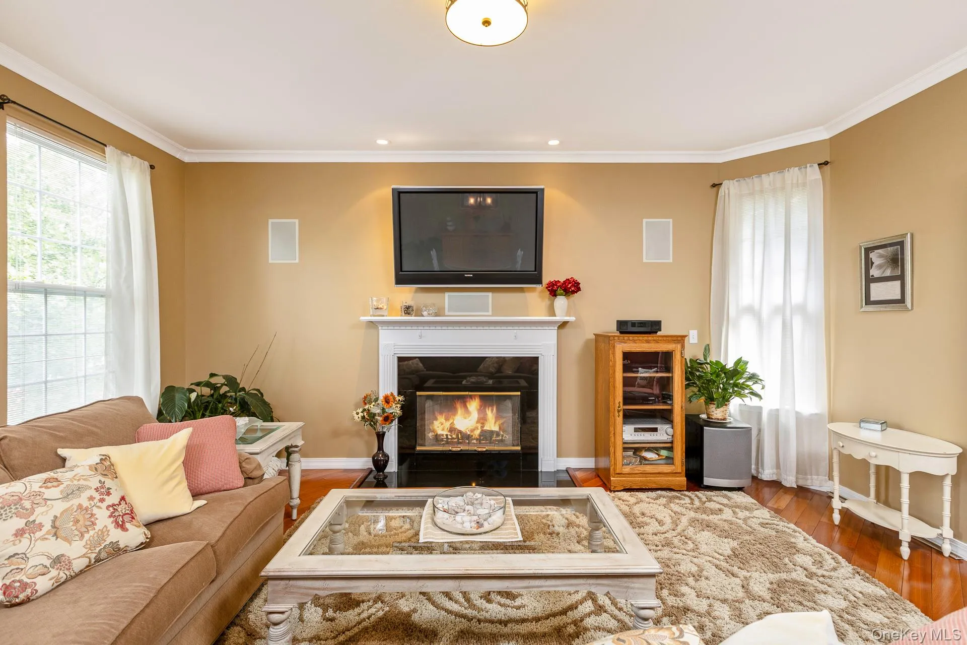 Gas Fireplace Gas Fireplace
