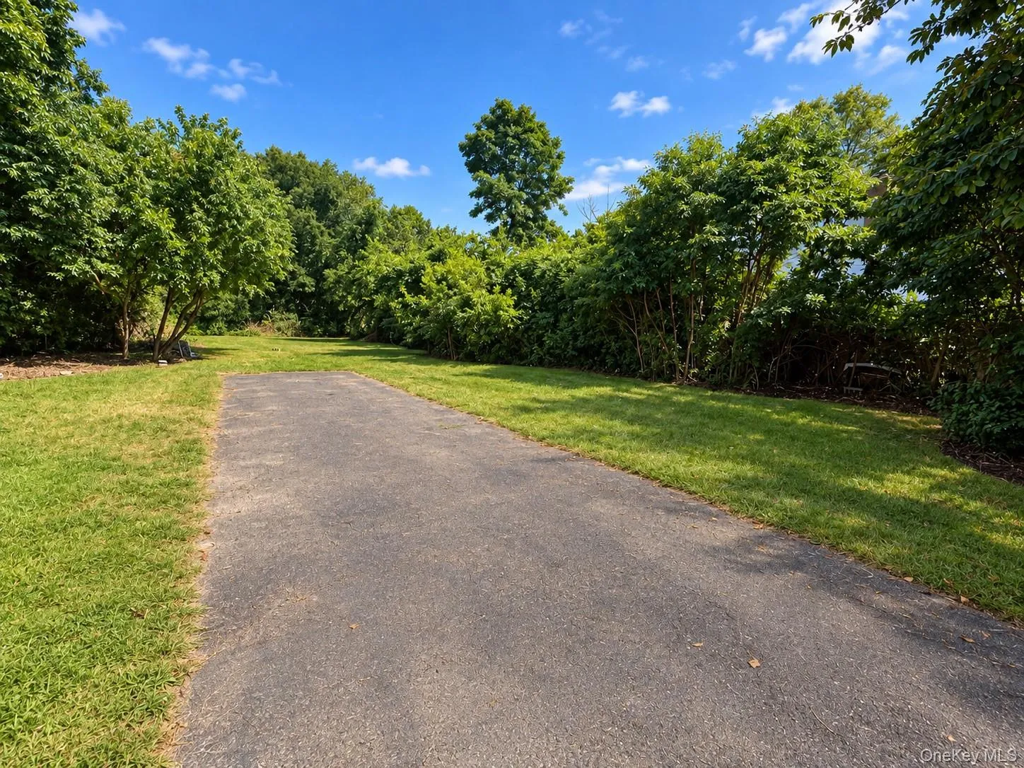 444 Avondale Drive, Brookhaven, NY, 3 Bedrooms Bedrooms, 5 Rooms Rooms,1 BathroomBathrooms,Residential,For Rent,Avondale,0,1051903 444 Avondale Drive, Brookhaven, NY, 3 Bedrooms Bedrooms, 5 Rooms Rooms,1 BathroomBathrooms,Residential,For Rent,Avondale,0,1051903