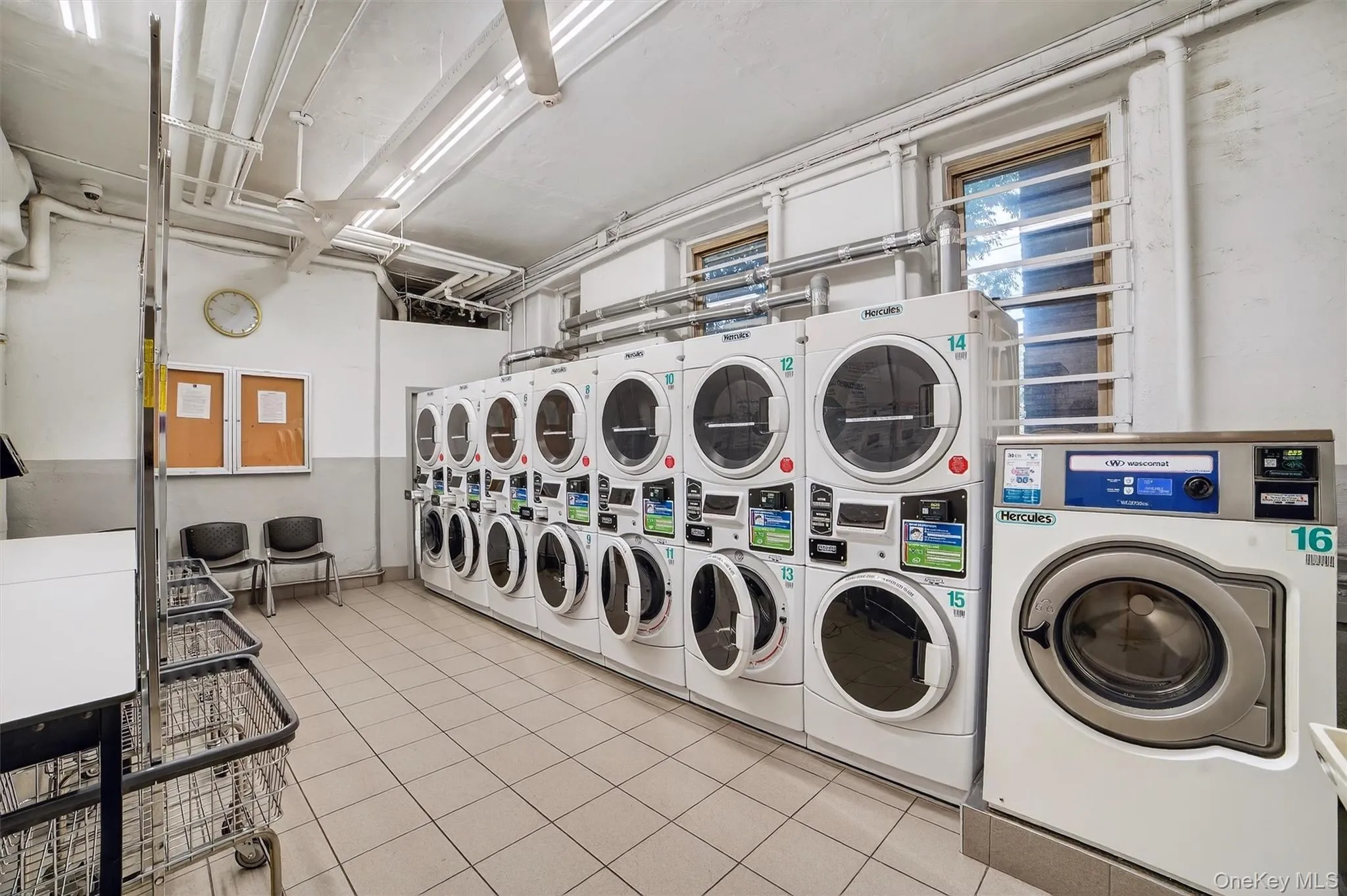 219 Bronx River Road, Yonkers, NY, 1 Bedroom Bedrooms, 3 Rooms Rooms,1 BathroomBathrooms,Residential,For Rent,Bronx River Road,0,1051908 219 Bronx River Road, Yonkers, NY, 1 Bedroom Bedrooms, 3 Rooms Rooms,1 BathroomBathrooms,Residential,For Rent,Bronx River Road,0,1051908