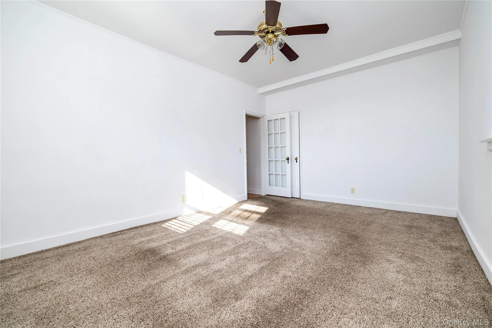 Hardwood Floors underneath Hardwood Floors underneath
