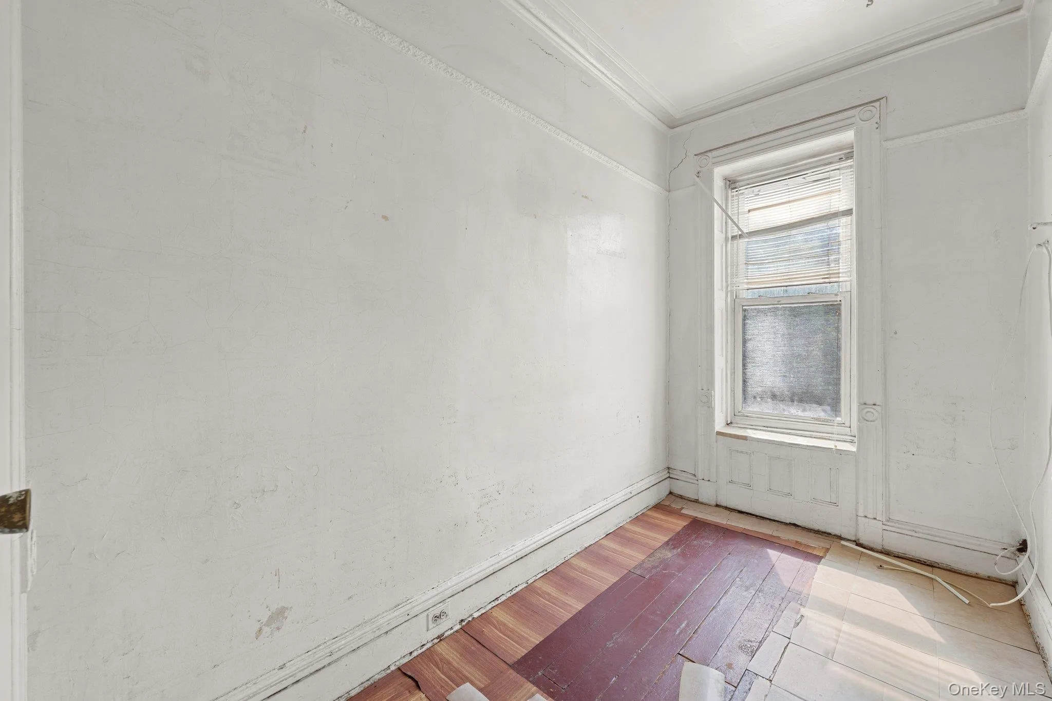 367 Quincy Street, New York, NY, 5 Bedrooms Bedrooms, 11 Rooms Rooms,2 BathroomsBathrooms,Residential,For Rent,Quincy,0,1051931 367 Quincy Street, New York, NY, 5 Bedrooms Bedrooms, 11 Rooms Rooms,2 BathroomsBathrooms,Residential,For Rent,Quincy,0,1051931