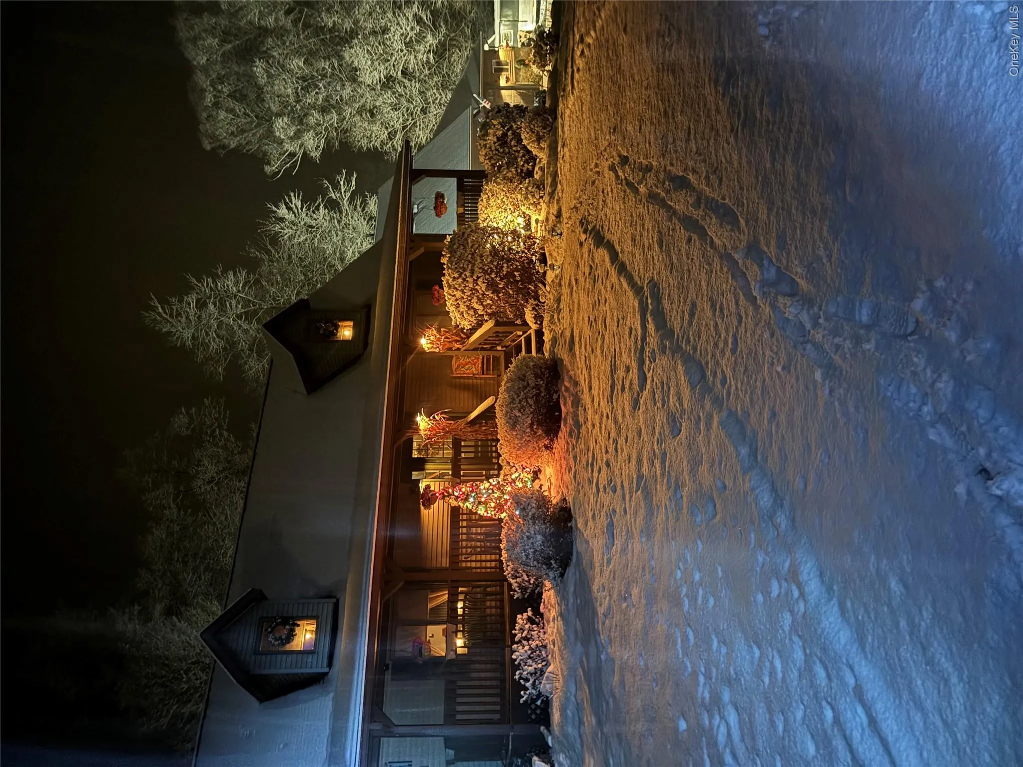 Gorgeous and festive in the snow! Gorgeous and festive in the snow!