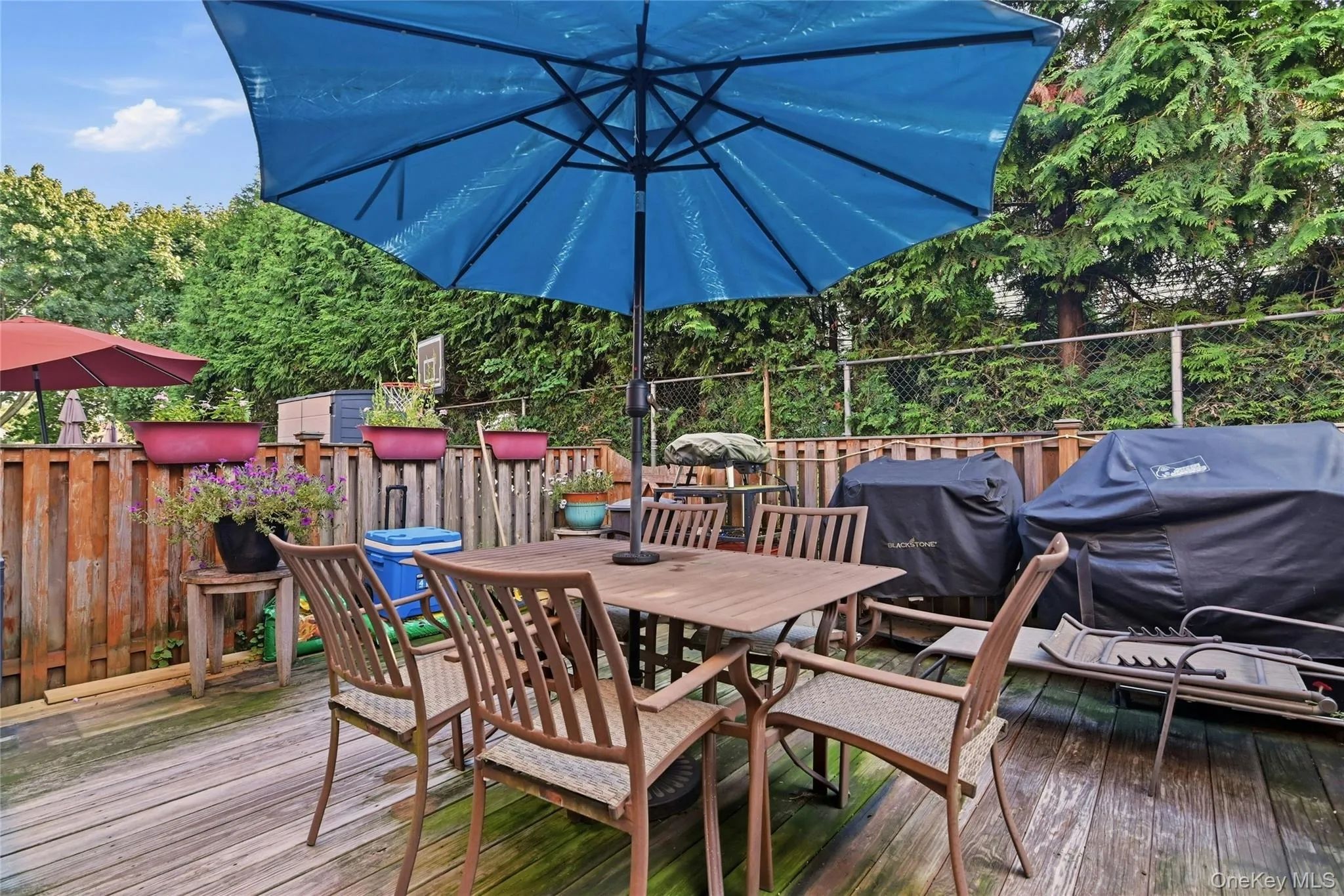 1810 Front Street, Hempstead, NY, 3 Bedrooms Bedrooms, 6 Rooms Rooms,1 BathroomBathrooms,Residential,For Rent,Front,0,1051960 1810 Front Street, Hempstead, NY, 3 Bedrooms Bedrooms, 6 Rooms Rooms,1 BathroomBathrooms,Residential,For Rent,Front,0,1051960