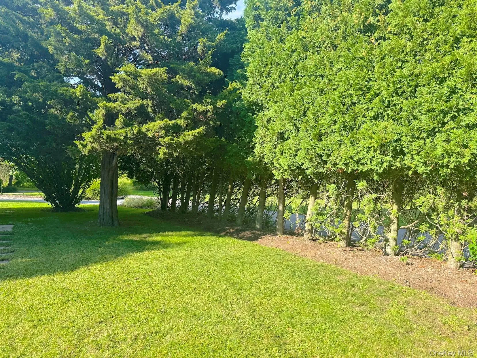 Expansive Side Yard Expansive Side Yard