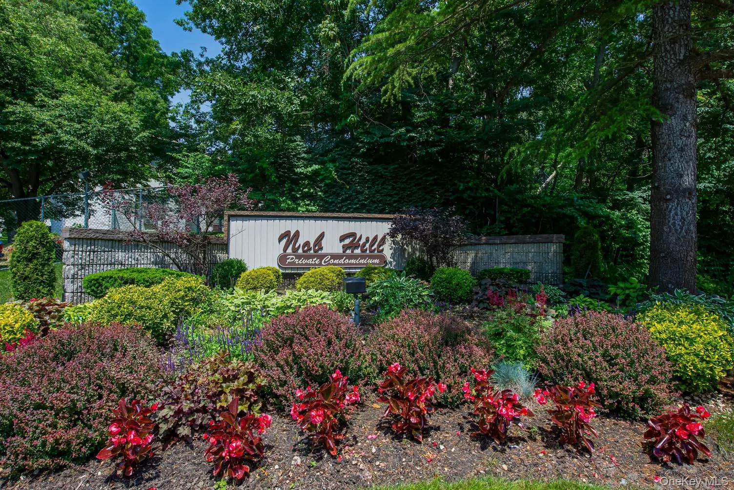 85 Richmond Boulevard, Islip, NY, 2 Bedrooms Bedrooms, 5 Rooms Rooms,1 BathroomBathrooms,Residential,For Rent,Richmond,0,1051999 85 Richmond Boulevard, Islip, NY, 2 Bedrooms Bedrooms, 5 Rooms Rooms,1 BathroomBathrooms,Residential,For Rent,Richmond,0,1051999