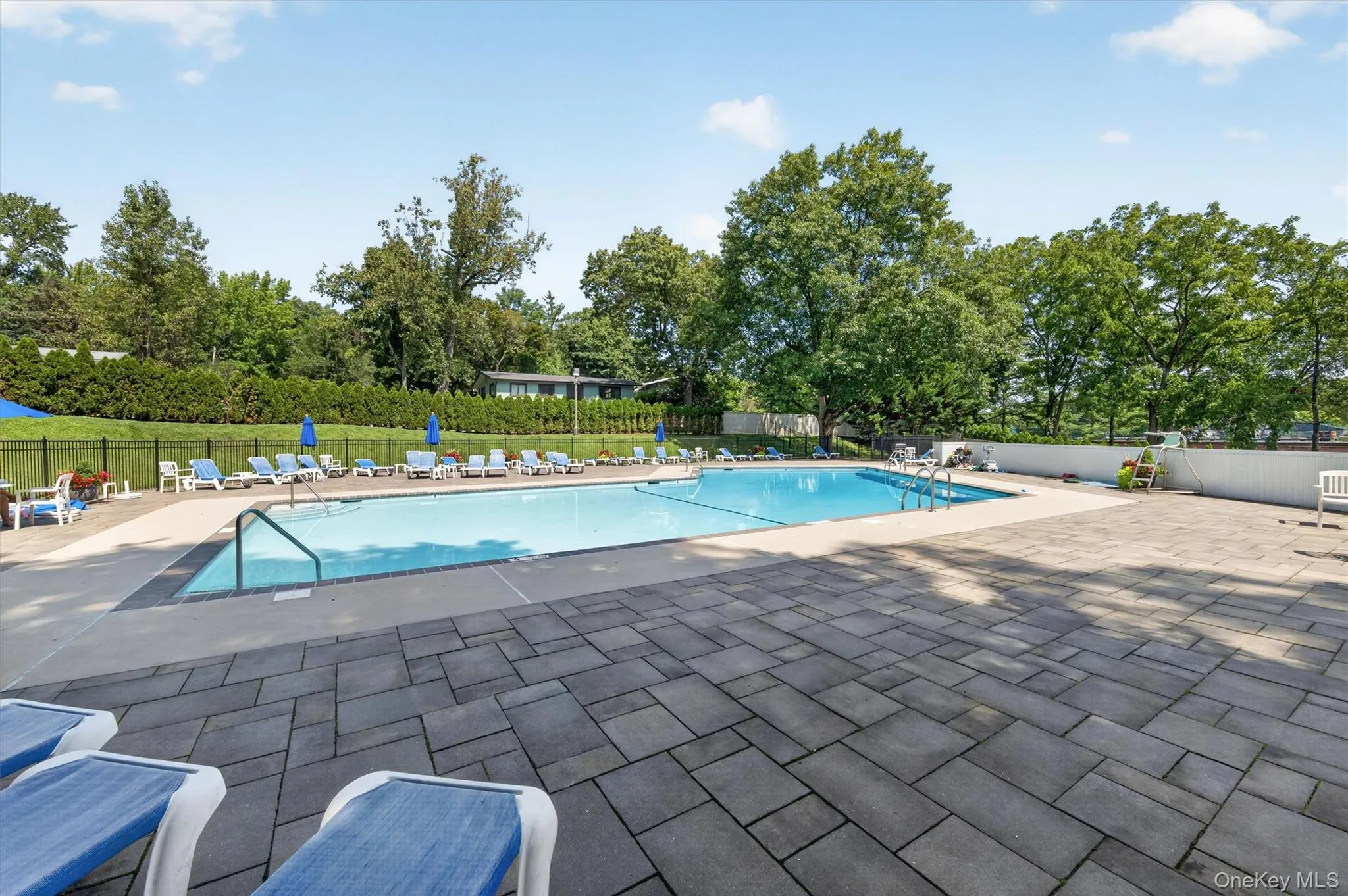 311 Tallwood Drive, Greenburgh, NY, 3 Bedrooms Bedrooms, 6 Rooms Rooms,2 BathroomsBathrooms,Residential,For Rent,Tallwood,0,1052047 311 Tallwood Drive, Greenburgh, NY, 3 Bedrooms Bedrooms, 6 Rooms Rooms,2 BathroomsBathrooms,Residential,For Rent,Tallwood,0,1052047