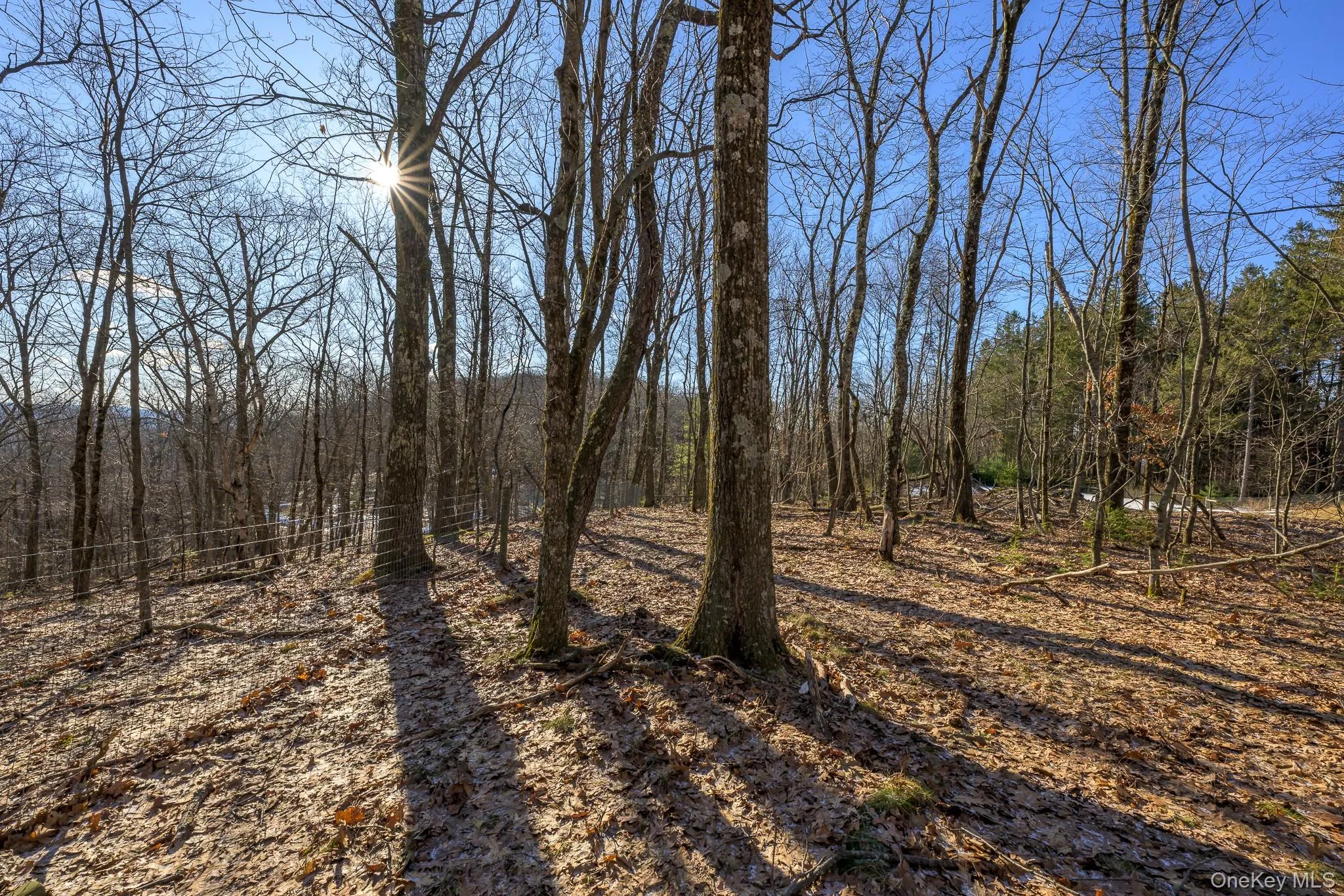 30 Ridge Lane, Hillsdale, NY, 3 Bedrooms Bedrooms, 6 Rooms Rooms,2 BathroomsBathrooms,Residential,For Rent,Ridge,0,1052067 30 Ridge Lane, Hillsdale, NY, 3 Bedrooms Bedrooms, 6 Rooms Rooms,2 BathroomsBathrooms,Residential,For Rent,Ridge,0,1052067