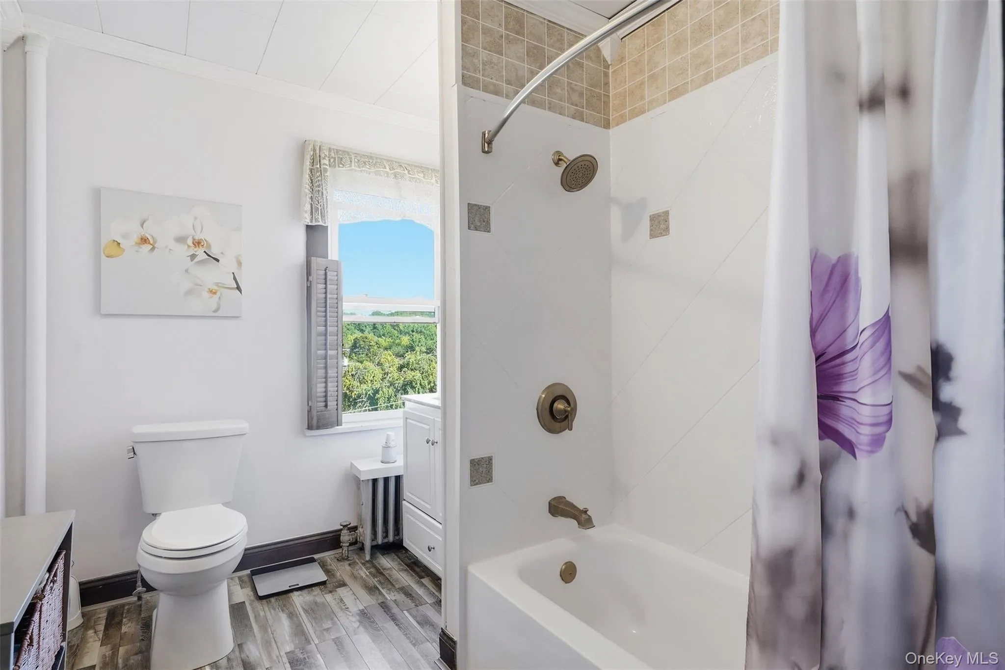 15 William Street, Goshen, NY, 4 Bedrooms Bedrooms, 9 Rooms Rooms,1 BathroomBathrooms,Residential,For Rent,William,0,1052086 15 William Street, Goshen, NY, 4 Bedrooms Bedrooms, 9 Rooms Rooms,1 BathroomBathrooms,Residential,For Rent,William,0,1052086