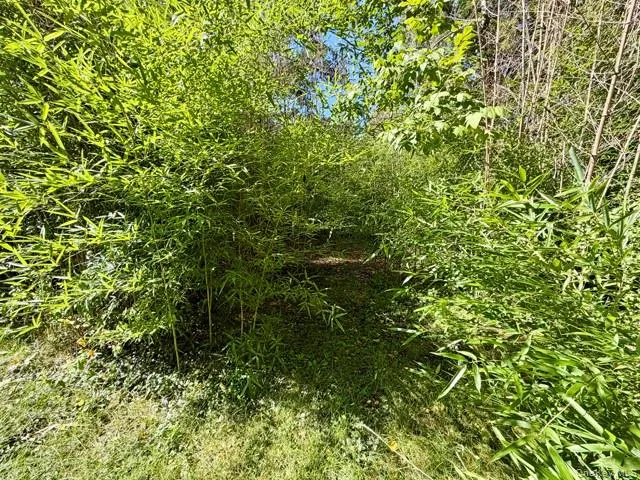 13 Kinney Road, Fremont, NY, 4 Bedrooms Bedrooms, 7 Rooms Rooms,1 BathroomBathrooms,Residential,For Rent,Kinney,0,1052103 13 Kinney Road, Fremont, NY, 4 Bedrooms Bedrooms, 7 Rooms Rooms,1 BathroomBathrooms,Residential,For Rent,Kinney,0,1052103