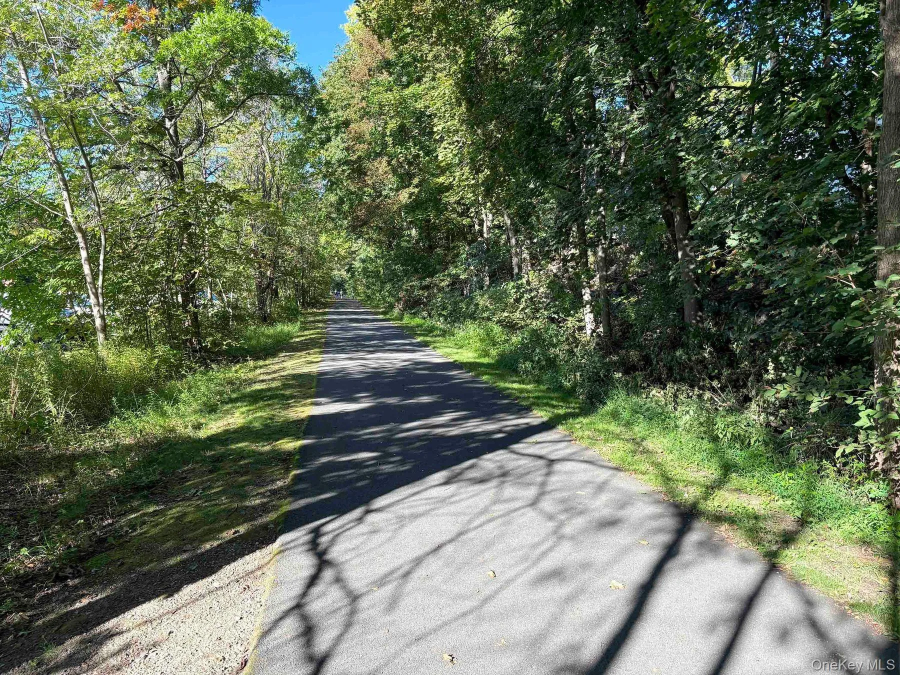 RAIL TRAIL NORTH - ADJACENT TO PARKING LOT RAIL TRAIL NORTH - ADJACENT TO PARKING LOT