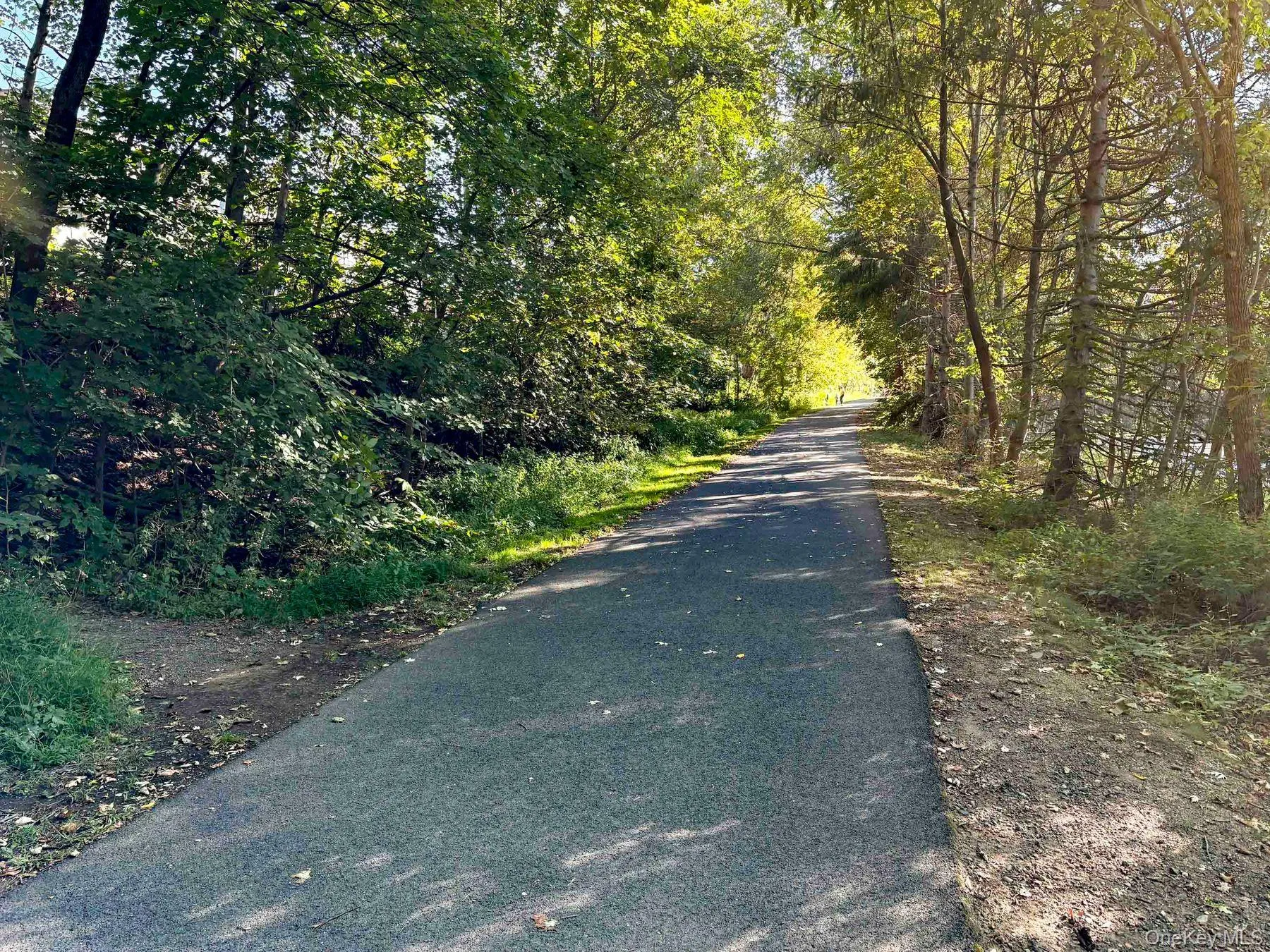 RAIL TRAIL SOUTH - ADJACENT TO PARKING LOT RAIL TRAIL SOUTH - ADJACENT TO PARKING LOT