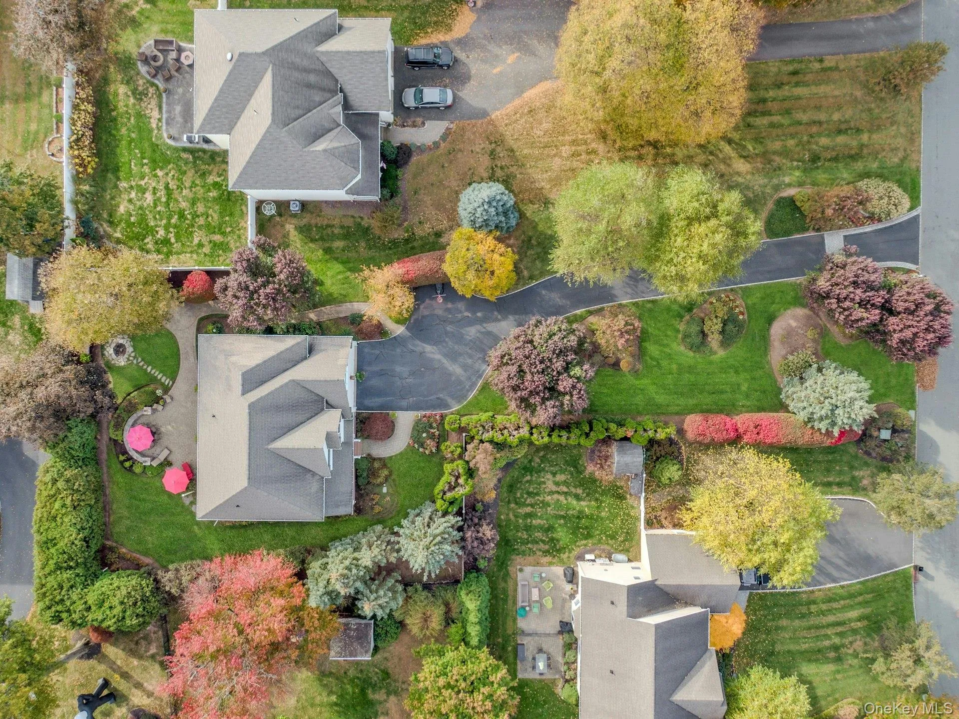 Your Own .51 Acre Park W/Lush Landscaping, Accent Lighting Your Own .51 Acre Park W/Lush Landscaping, Accent Lighting