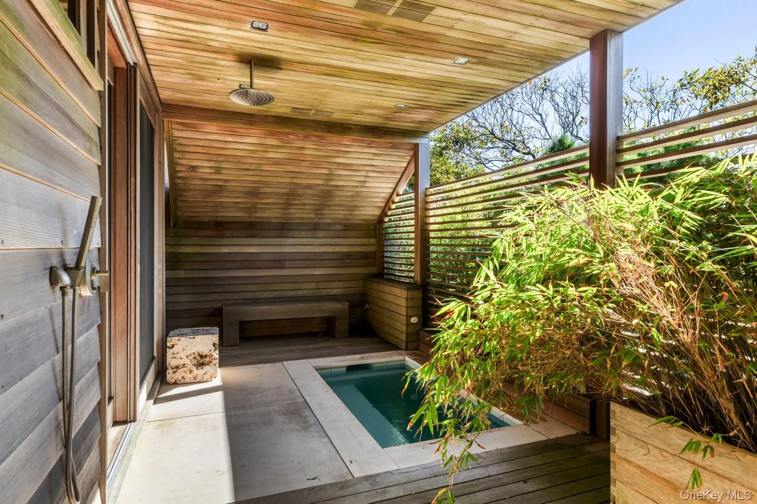 With plunge pool, outdoor shower and entrance to primary suite shower With plunge pool, outdoor shower and entrance to primary suite shower