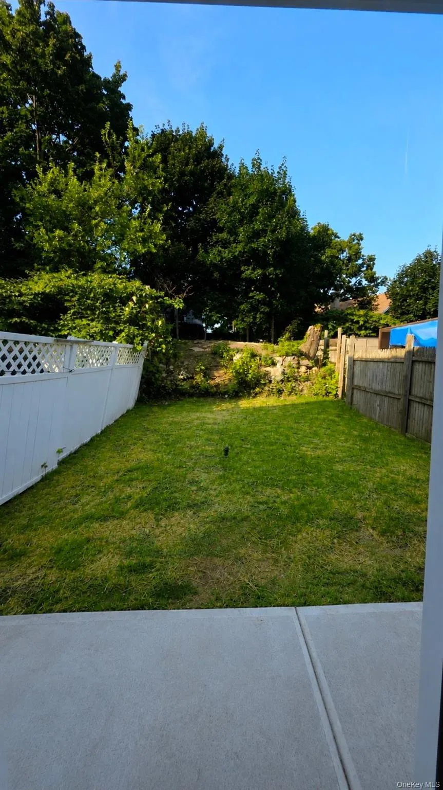 Backyard Backyard