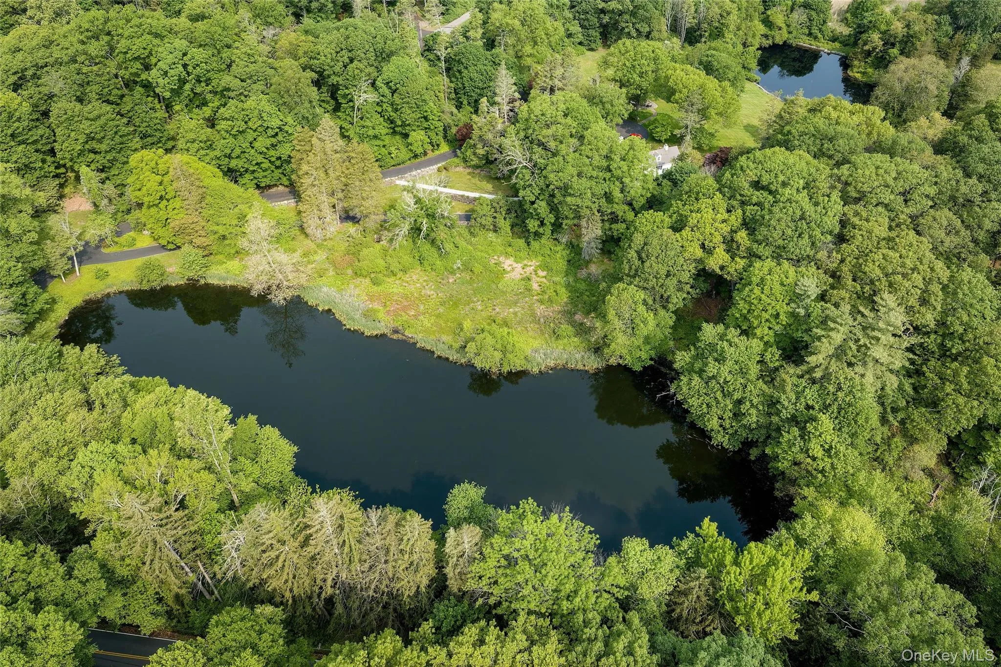2125 Quaker Ridge Road, Cortlandt, NY, 6 Bedrooms Bedrooms, 16 Rooms Rooms,4 BathroomsBathrooms,Residential,For Rent,Quaker Ridge,0,1052259 2125 Quaker Ridge Road, Cortlandt, NY, 6 Bedrooms Bedrooms, 16 Rooms Rooms,4 BathroomsBathrooms,Residential,For Rent,Quaker Ridge,0,1052259