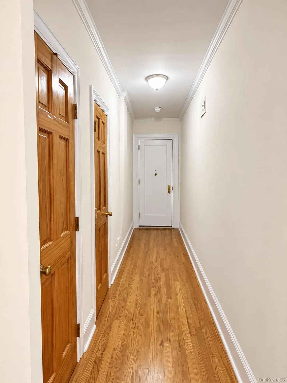 40 Birch Street, Mount Vernon, NY, 2 Bedrooms Bedrooms, 4 Rooms Rooms,1 BathroomBathrooms,Residential,For Rent,Birch,0,1052288 40 Birch Street, Mount Vernon, NY, 2 Bedrooms Bedrooms, 4 Rooms Rooms,1 BathroomBathrooms,Residential,For Rent,Birch,0,1052288