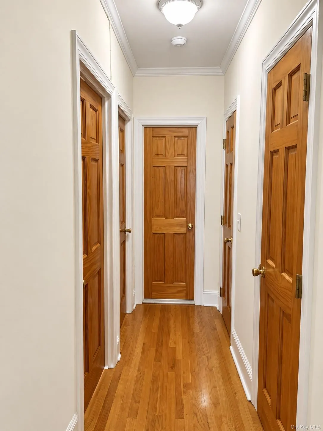 40 Birch Street, Mount Vernon, NY, 2 Bedrooms Bedrooms, 4 Rooms Rooms,1 BathroomBathrooms,Residential,For Rent,Birch,0,1052288 40 Birch Street, Mount Vernon, NY, 2 Bedrooms Bedrooms, 4 Rooms Rooms,1 BathroomBathrooms,Residential,For Rent,Birch,0,1052288