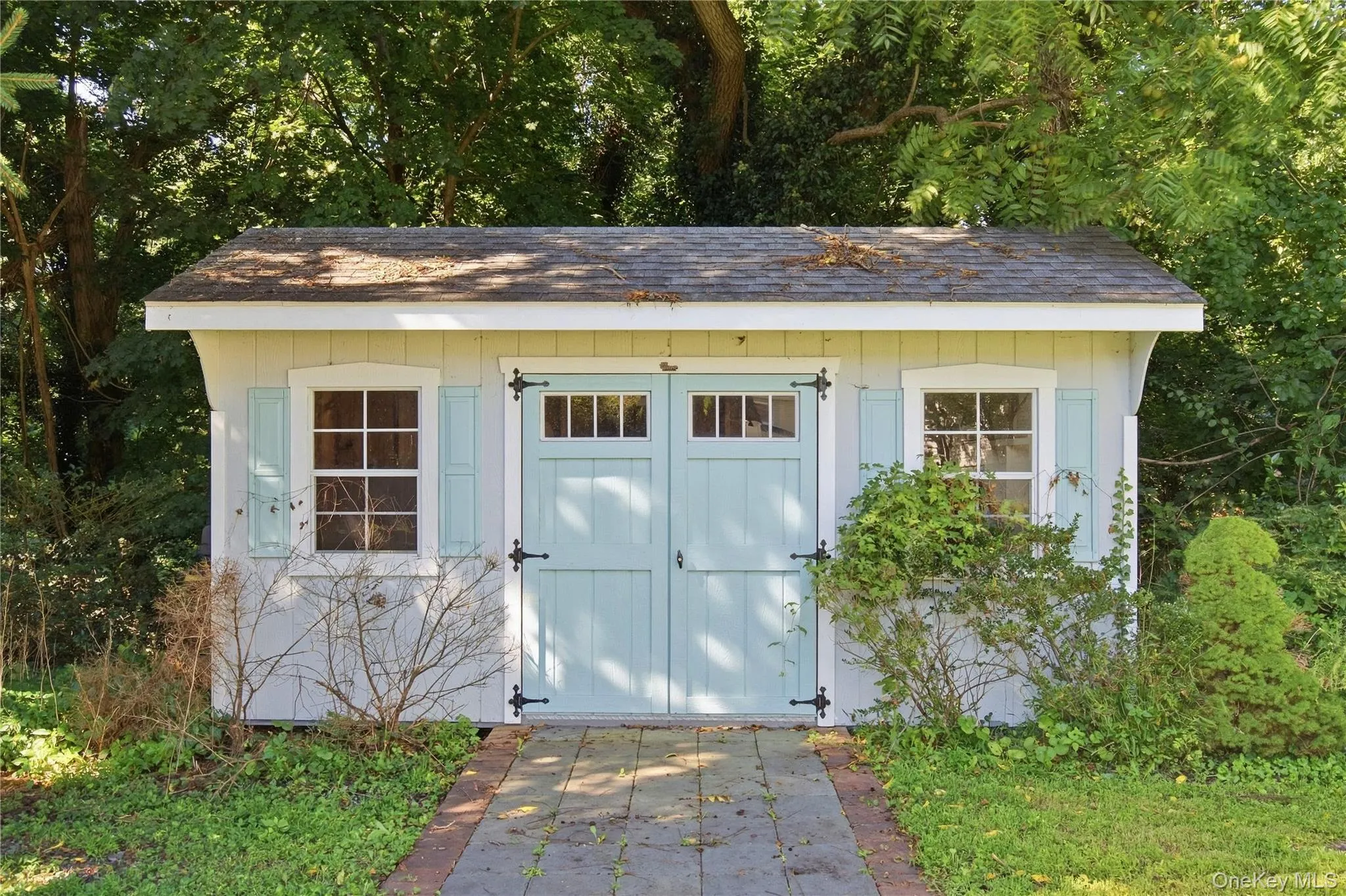 Shed Shed
