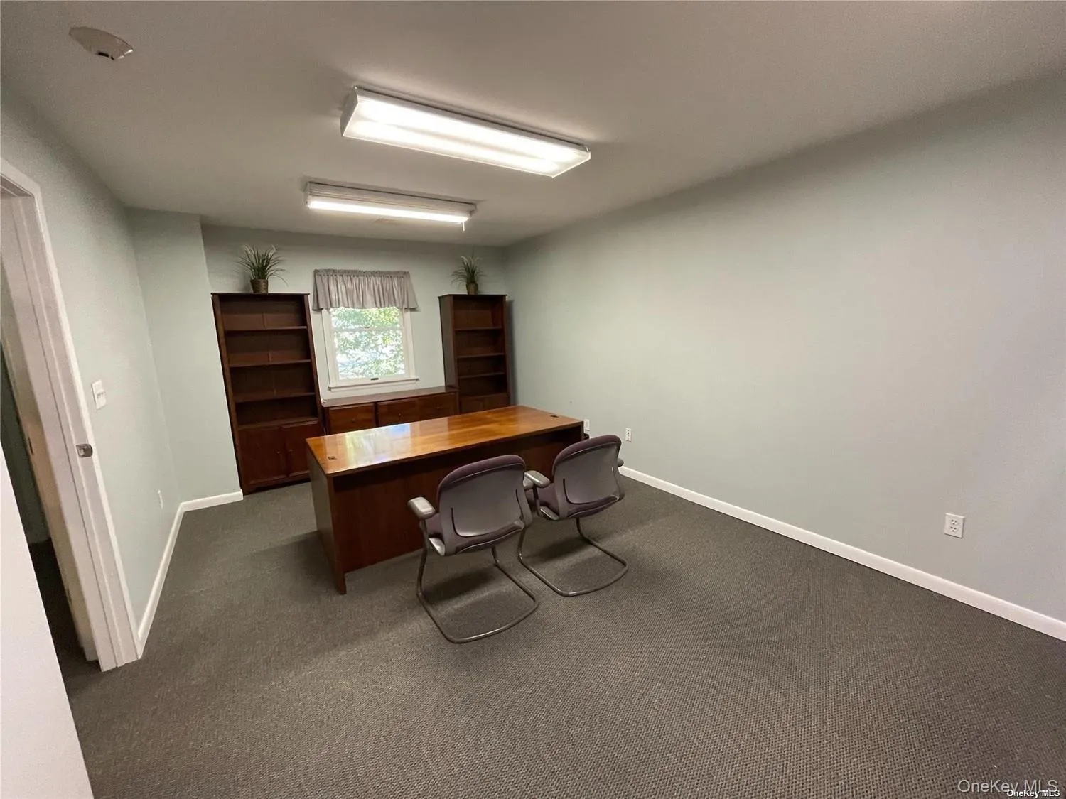 556 Jericho Turnpike, Smithtown, NY, ,Commercial Lease,For Rent,Jericho,0,1052301 556 Jericho Turnpike, Smithtown, NY, ,Commercial Lease,For Rent,Jericho,0,1052301