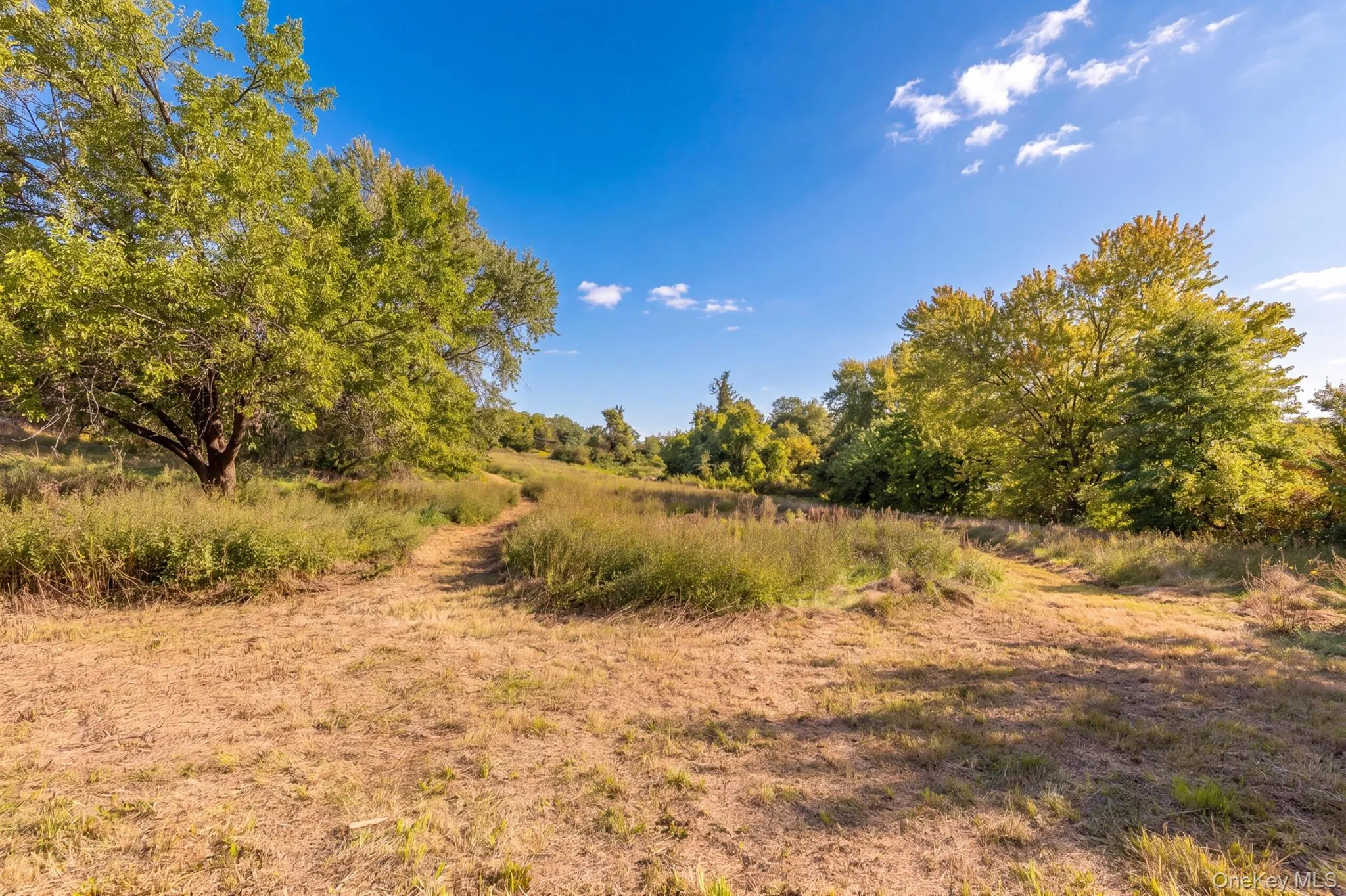 250 Sawkill Road, Ulster, NY, 3 Bedrooms Bedrooms, 9 Rooms Rooms,2 BathroomsBathrooms,Residential,For Rent,Sawkill,0,1052394 250 Sawkill Road, Ulster, NY, 3 Bedrooms Bedrooms, 9 Rooms Rooms,2 BathroomsBathrooms,Residential,For Rent,Sawkill,0,1052394
