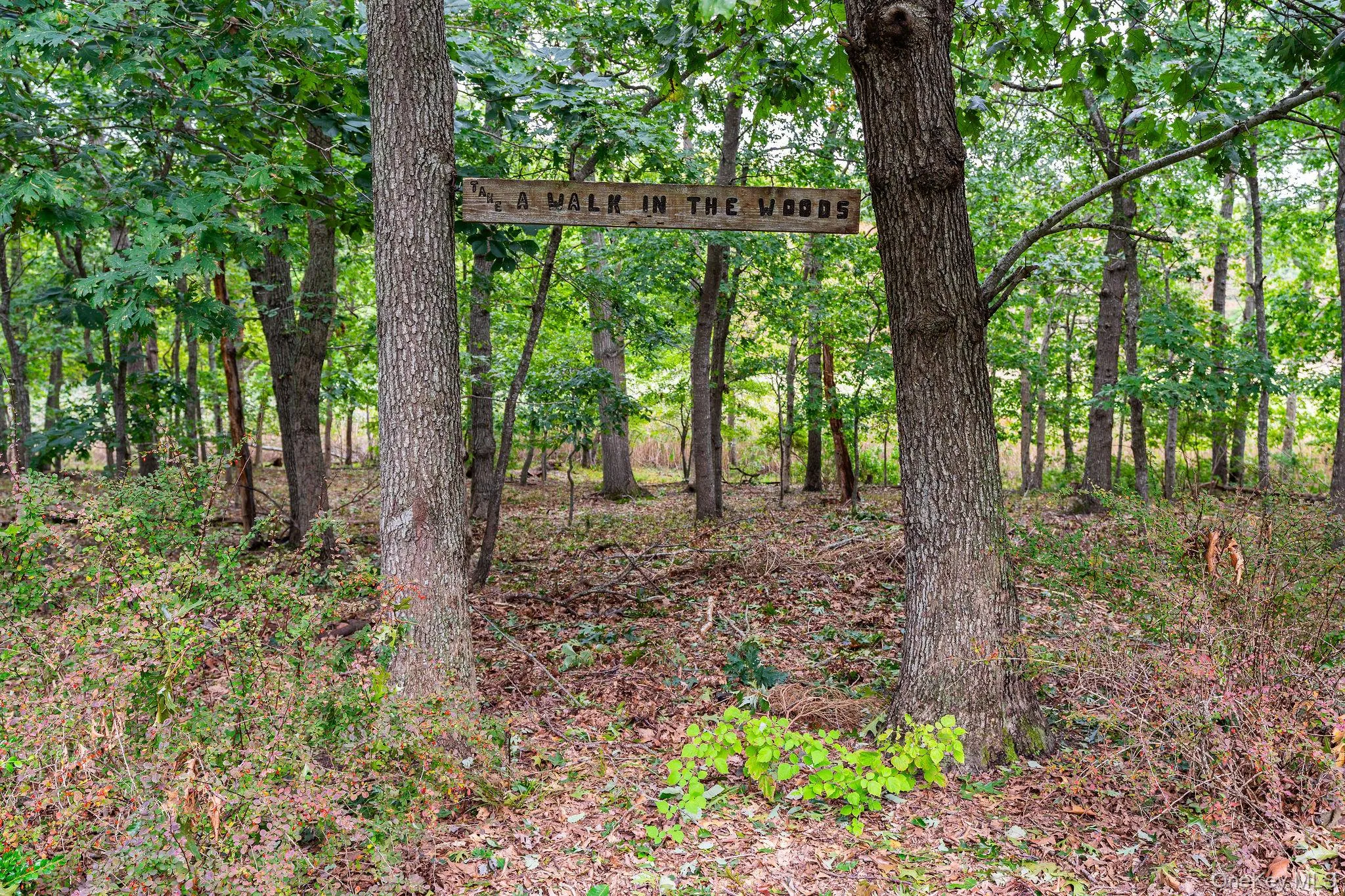 9680 Bayview Road, Southold, NY, 4 Bedrooms Bedrooms, 10 Rooms Rooms,5 BathroomsBathrooms,Residential,For Rent,Bayview,0,1052436 9680 Bayview Road, Southold, NY, 4 Bedrooms Bedrooms, 10 Rooms Rooms,5 BathroomsBathrooms,Residential,For Rent,Bayview,0,1052436
