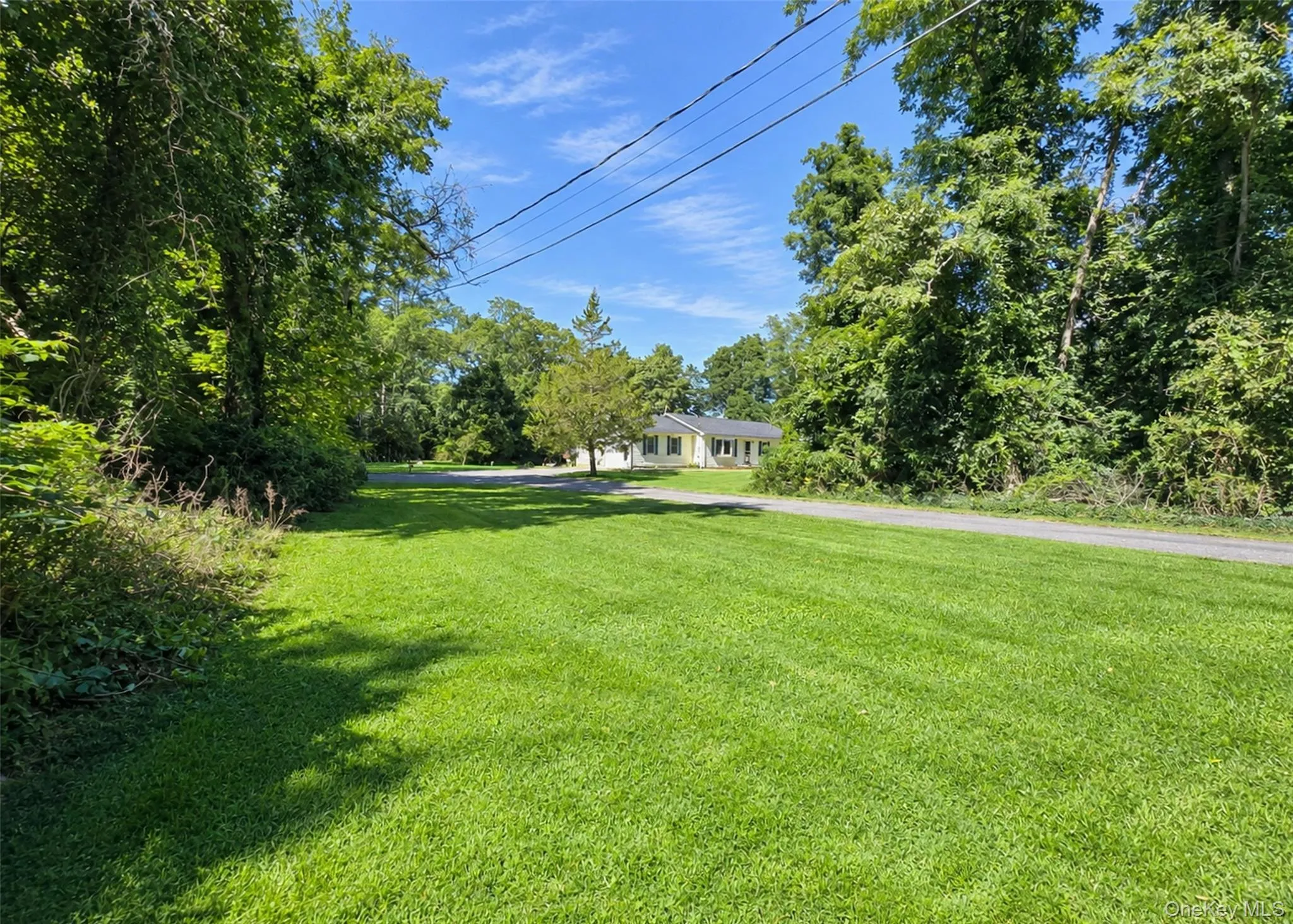 124 Ridge Road, Brookhaven, NY, 3 Bedrooms Bedrooms, 7 Rooms Rooms,3 BathroomsBathrooms,Residential,For Rent,Ridge,0,1052446 124 Ridge Road, Brookhaven, NY, 3 Bedrooms Bedrooms, 7 Rooms Rooms,3 BathroomsBathrooms,Residential,For Rent,Ridge,0,1052446