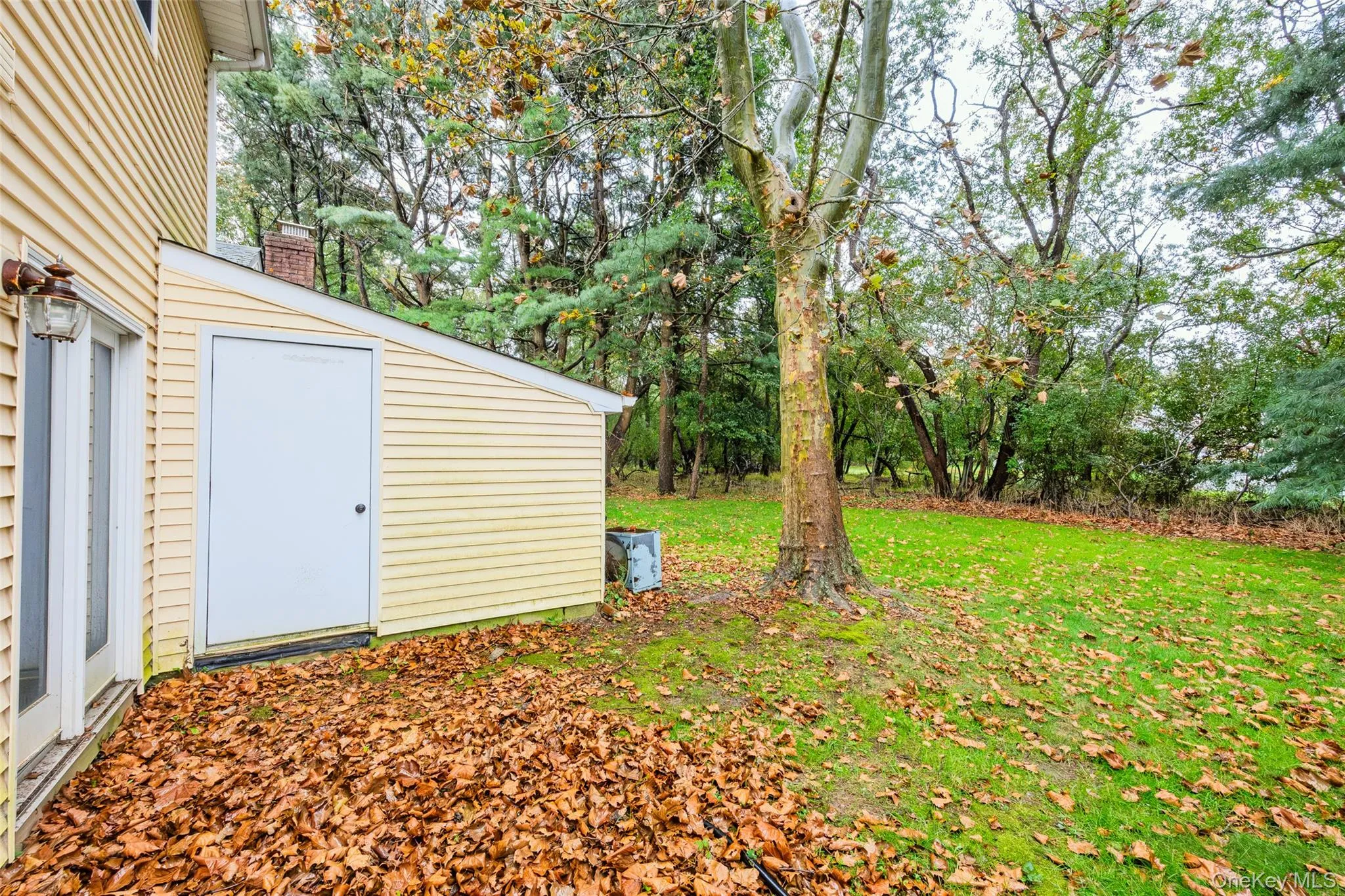 4 Lexington Court, Brookhaven, NY, 3 Bedrooms Bedrooms, 6 Rooms Rooms,1 BathroomBathrooms,Residential,For Rent,Lexington,0,1052476 4 Lexington Court, Brookhaven, NY, 3 Bedrooms Bedrooms, 6 Rooms Rooms,1 BathroomBathrooms,Residential,For Rent,Lexington,0,1052476