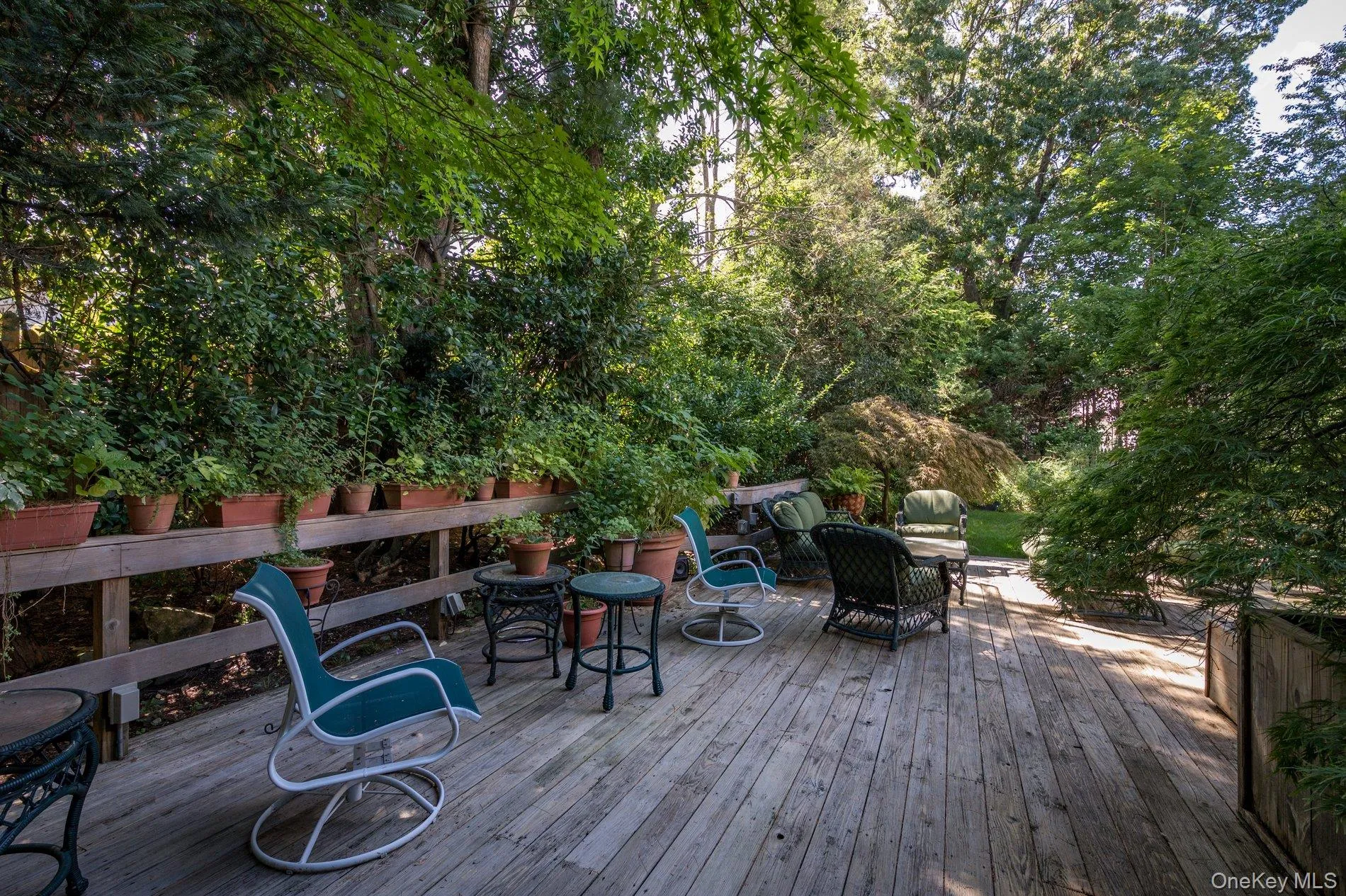 29 Argyle, North Hempstead, NY, 3 Bedrooms Bedrooms, 7 Rooms Rooms,1 BathroomBathrooms,Residential,For Rent,Argyle,0,1052493 29 Argyle, North Hempstead, NY, 3 Bedrooms Bedrooms, 7 Rooms Rooms,1 BathroomBathrooms,Residential,For Rent,Argyle,0,1052493