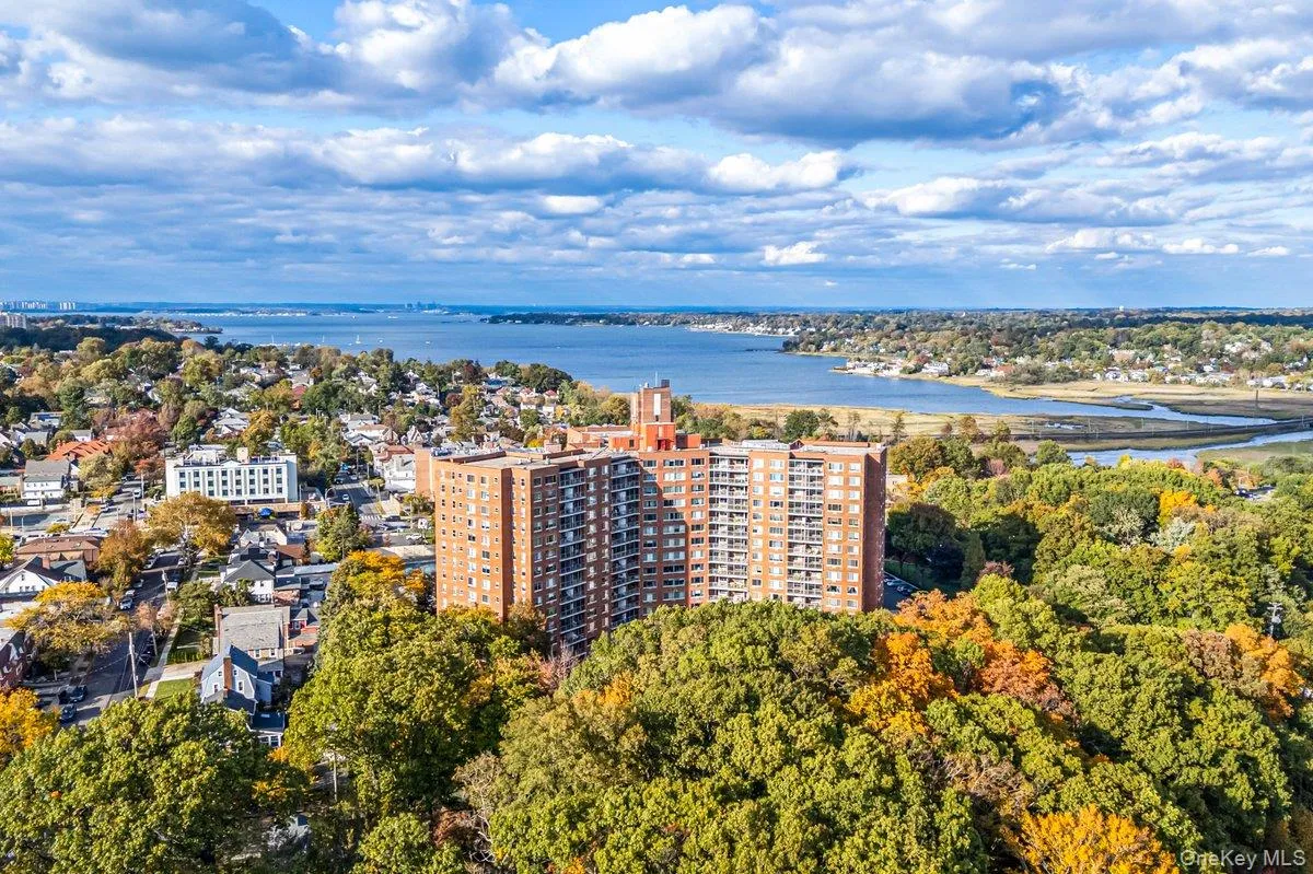 220-55 46th Avenue, New York, NY, 1 Bedroom Bedrooms, 3 Rooms Rooms,1 BathroomBathrooms,Residential,For Rent,46th,0,1052542 220-55 46th Avenue, New York, NY, 1 Bedroom Bedrooms, 3 Rooms Rooms,1 BathroomBathrooms,Residential,For Rent,46th,0,1052542