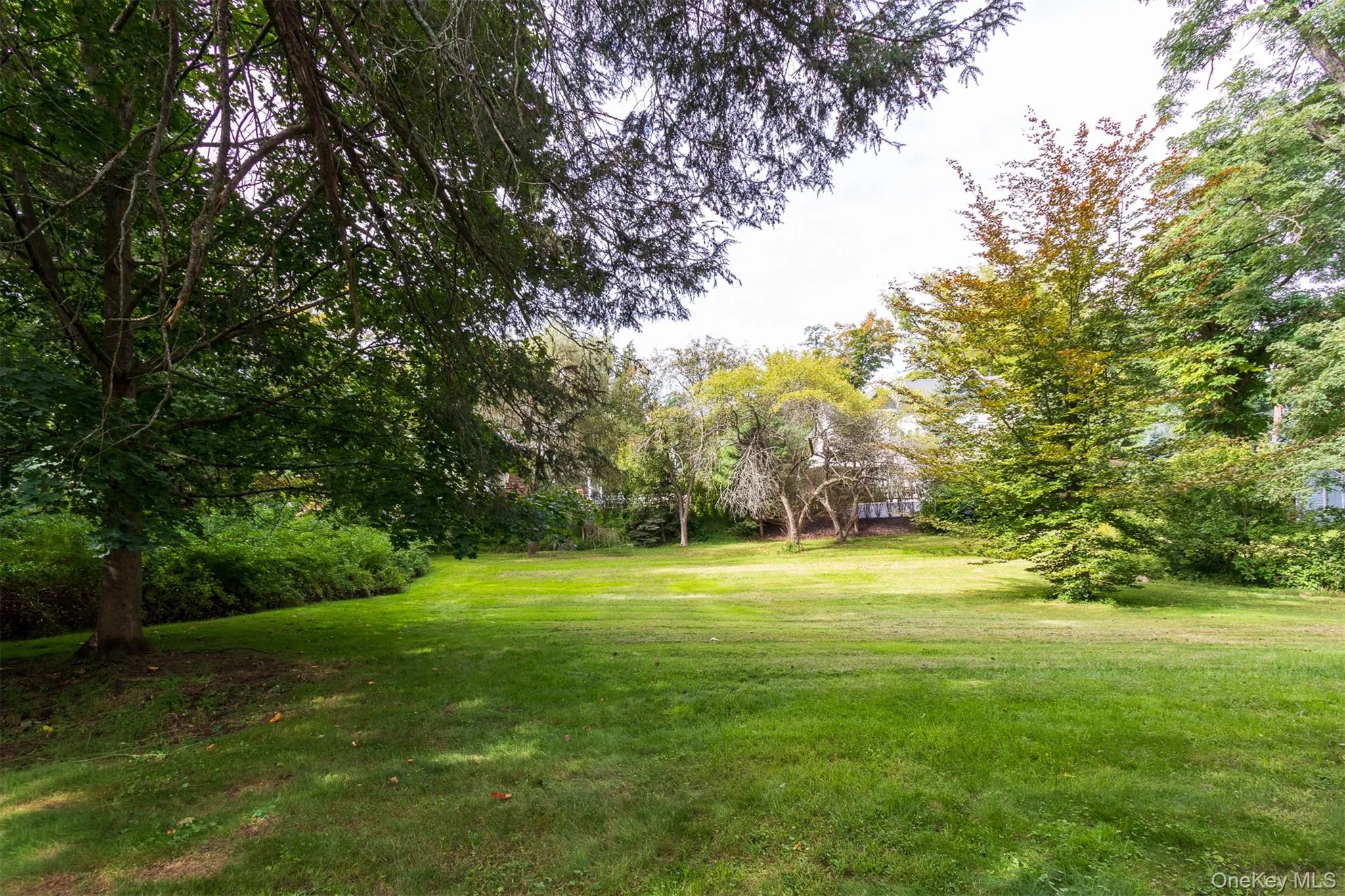 Backyard Backyard