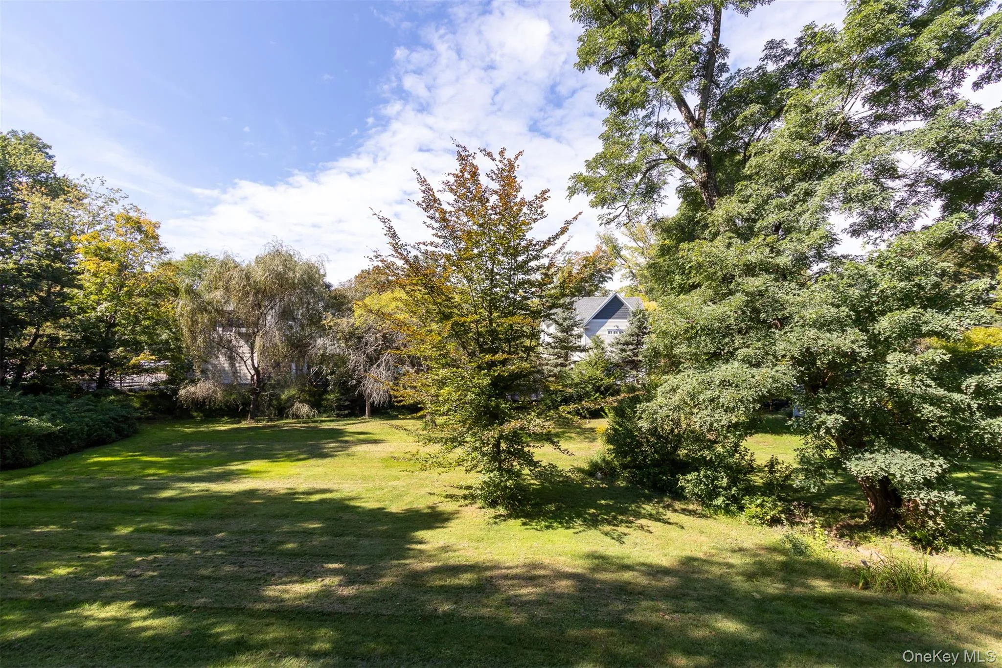 Backyard Backyard