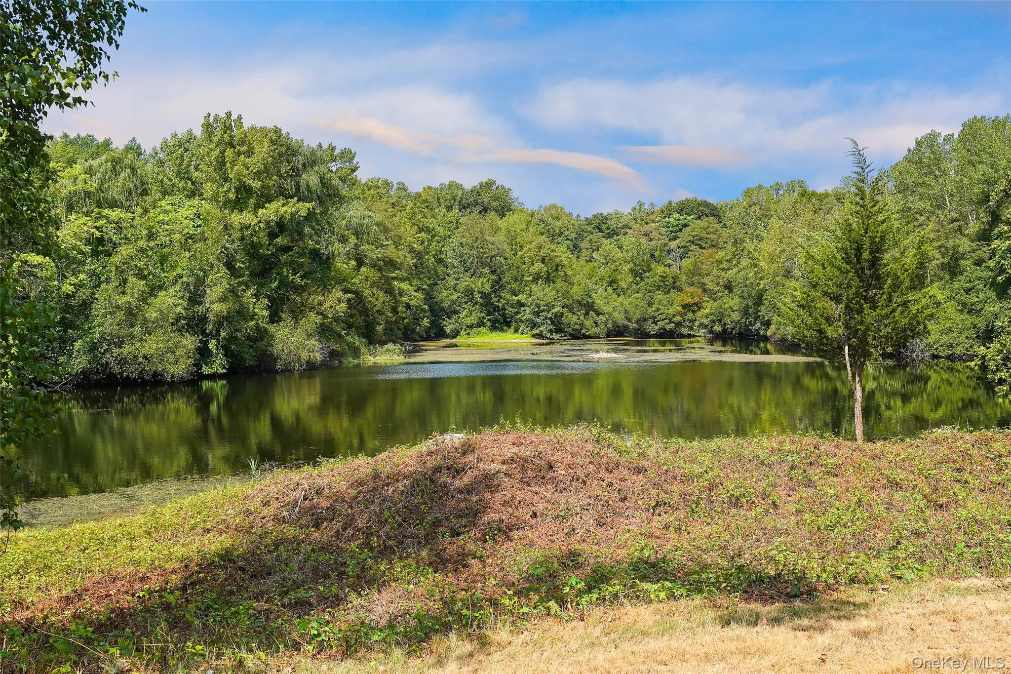 Expansive natural pond surrounded by abundant mature trees and natural vegetation Expansive natural pond surrounded by abundant mature trees and natural vegetation