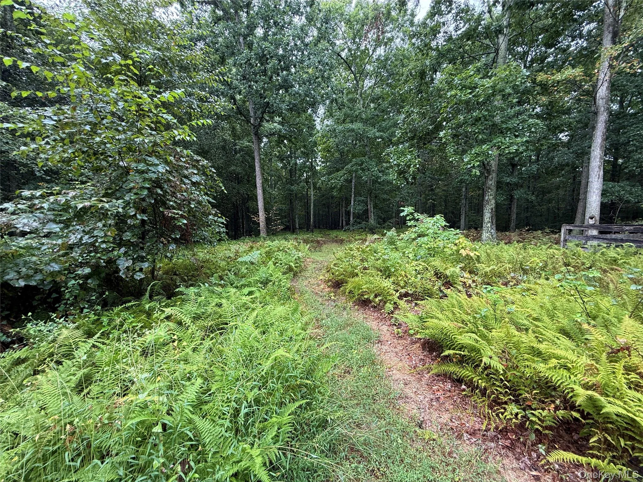 22 Eskew Court, Crawford, NY, 4 Bedrooms Bedrooms, 9 Rooms Rooms,2 BathroomsBathrooms,Residential,For Rent,Eskew,0,1052754 22 Eskew Court, Crawford, NY, 4 Bedrooms Bedrooms, 9 Rooms Rooms,2 BathroomsBathrooms,Residential,For Rent,Eskew,0,1052754