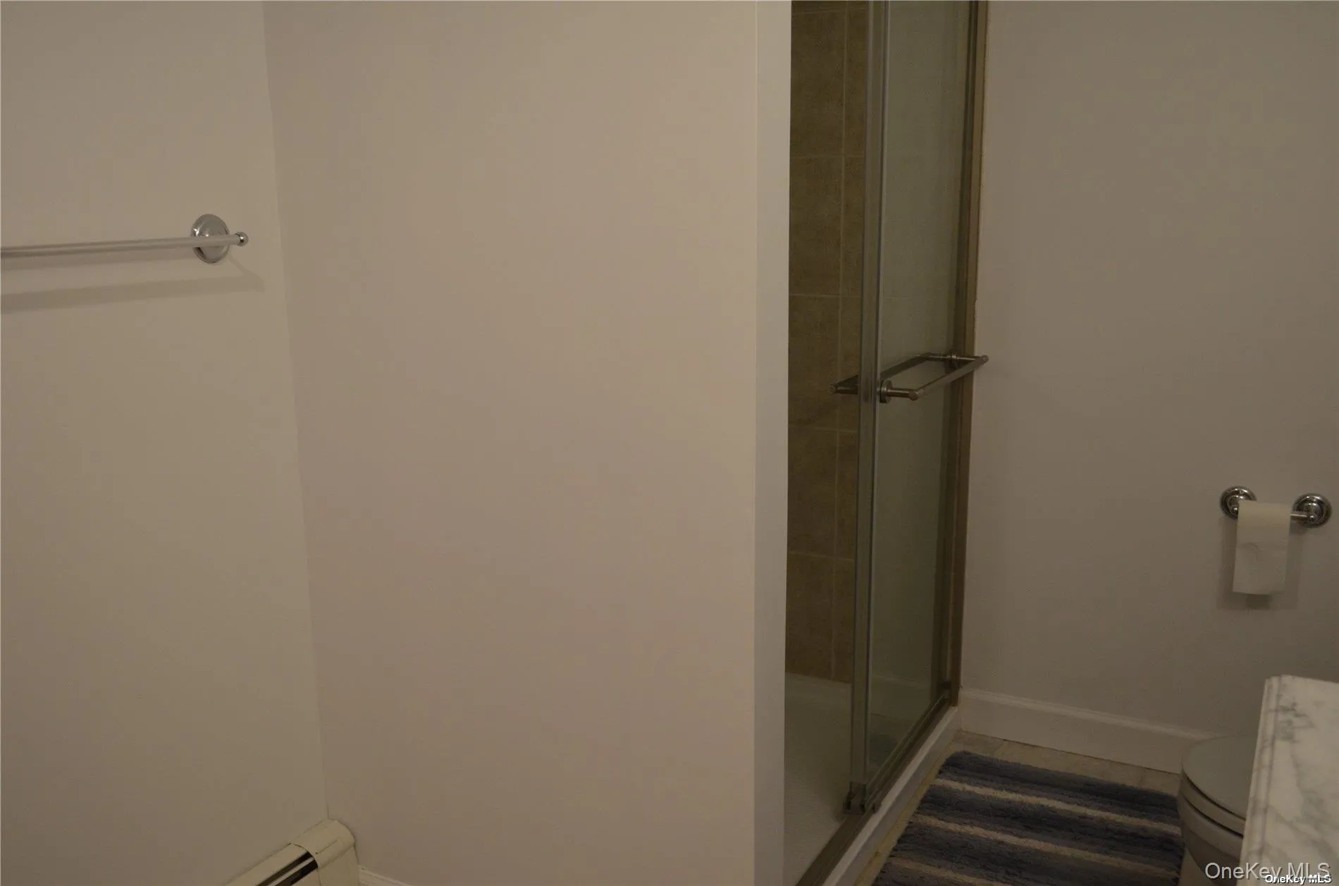 shower shower