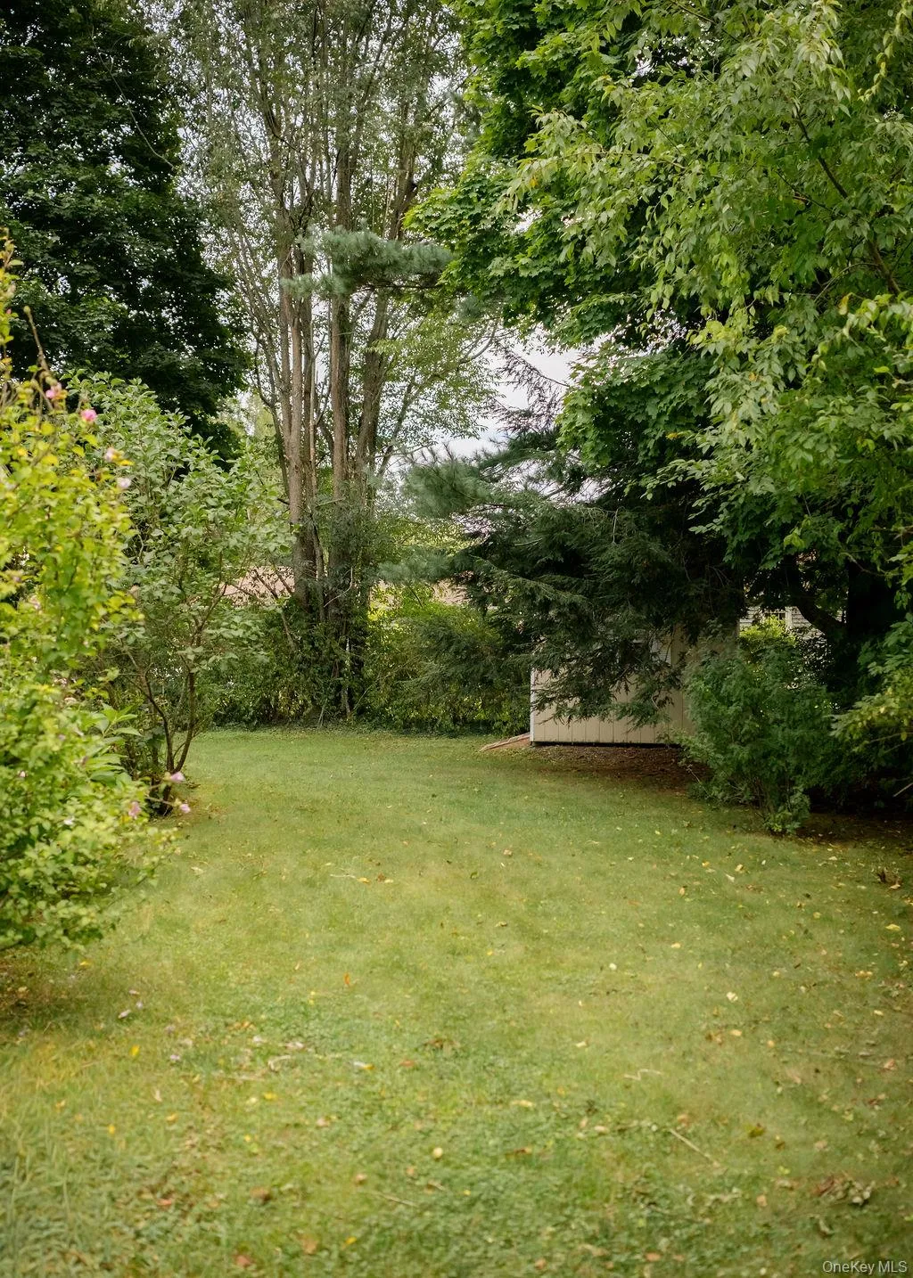 22 Trinity Place, Rhinebeck, NY, 3 Bedrooms Bedrooms, 7 Rooms Rooms,1 BathroomBathrooms,Residential Lease,For Rent,Trinity,0,1052911 22 Trinity Place, Rhinebeck, NY, 3 Bedrooms Bedrooms, 7 Rooms Rooms,1 BathroomBathrooms,Residential Lease,For Rent,Trinity,0,1052911
