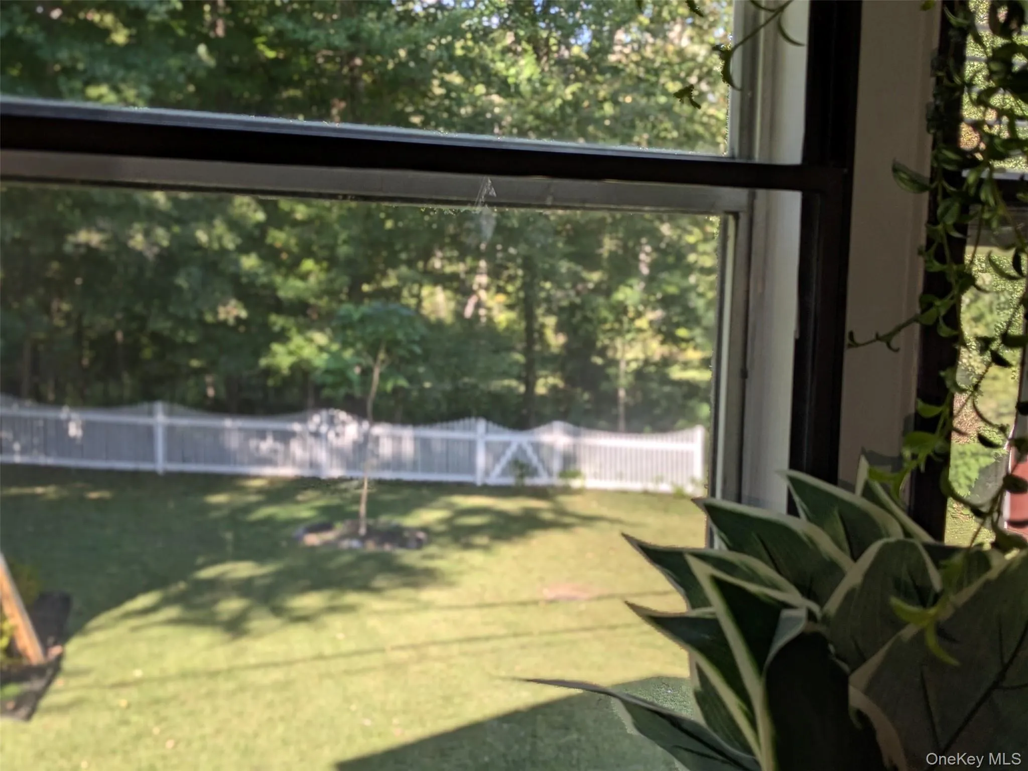 View from primary bedroom, View from primary bedroom,